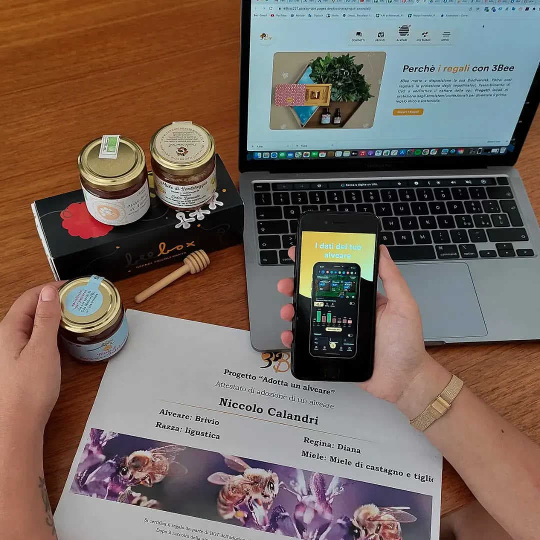 Gift a connected hive: protect bees