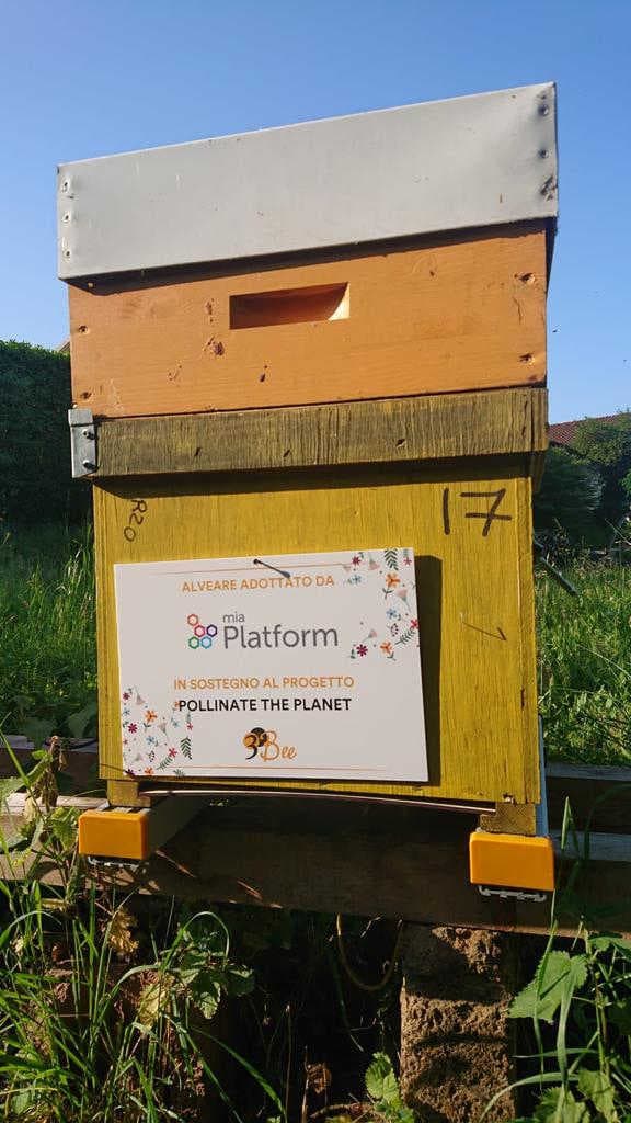 Alveare Mia platform