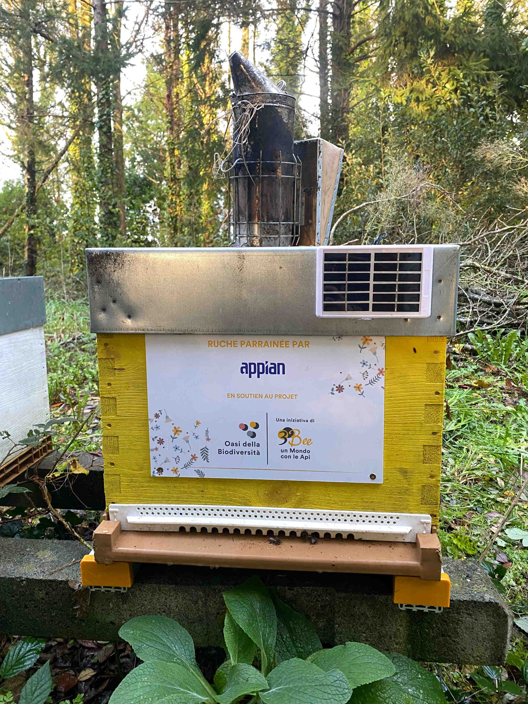Améliorez votre rapport RSE avec 3Bee