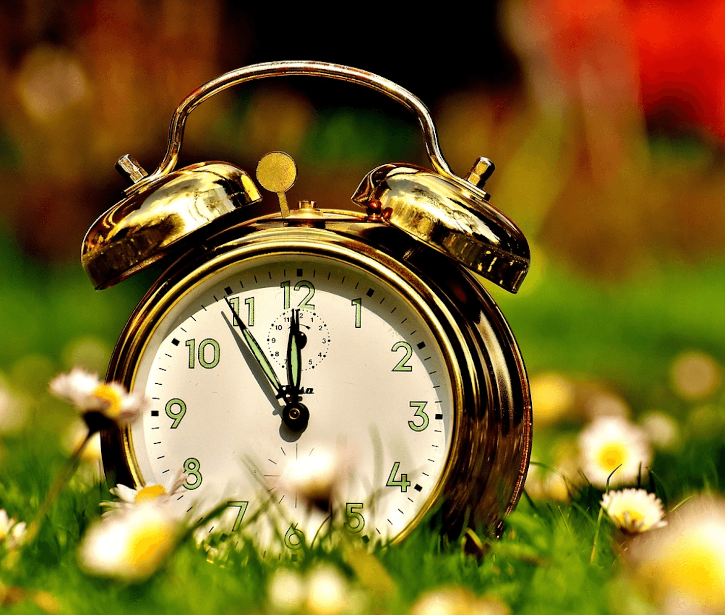 horloge dans l'herbe