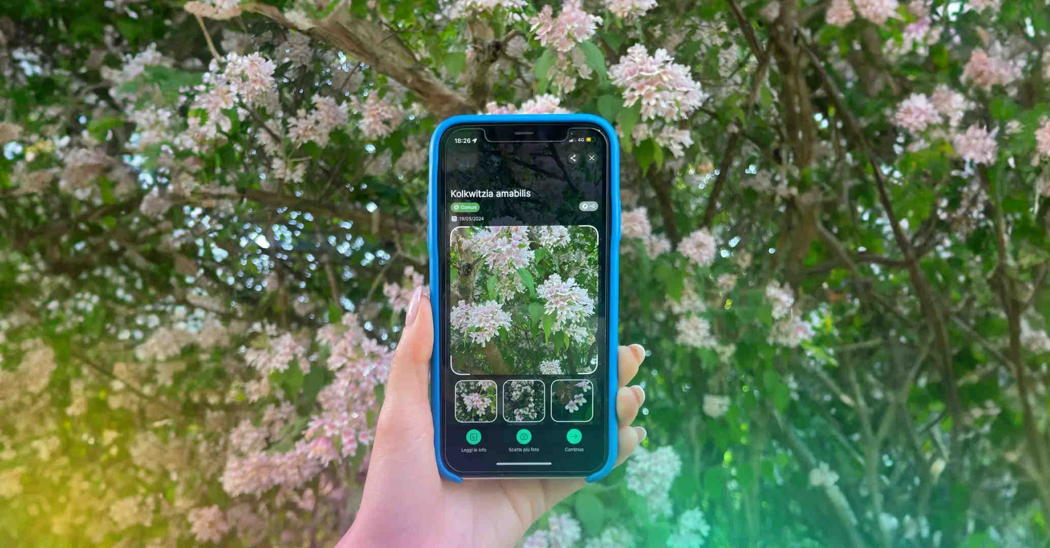 biodiversa