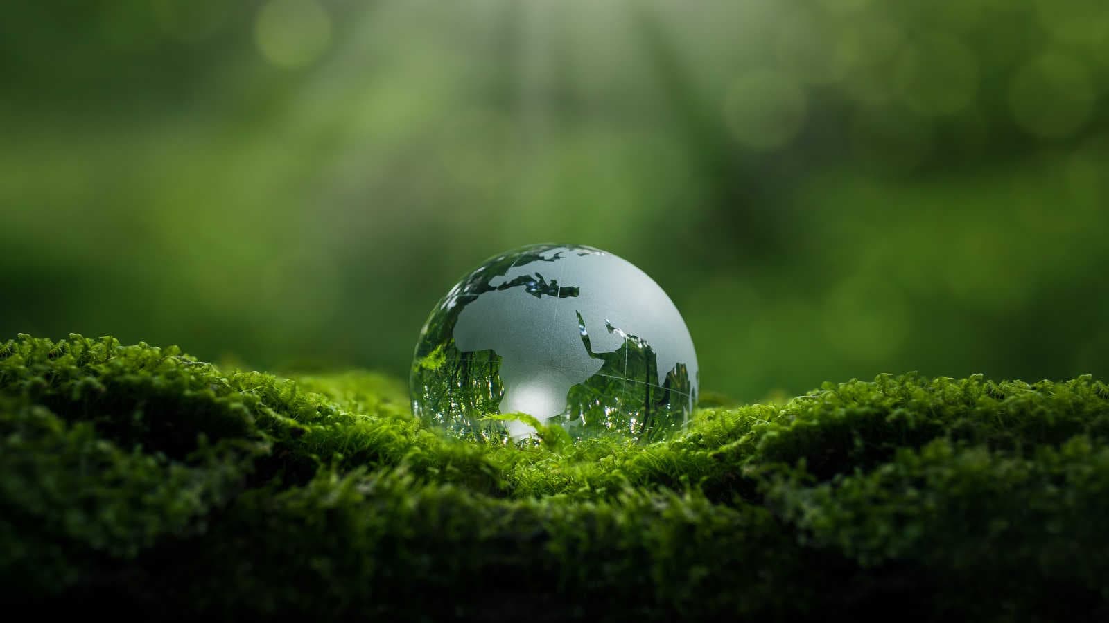 Impatti e prospettive future