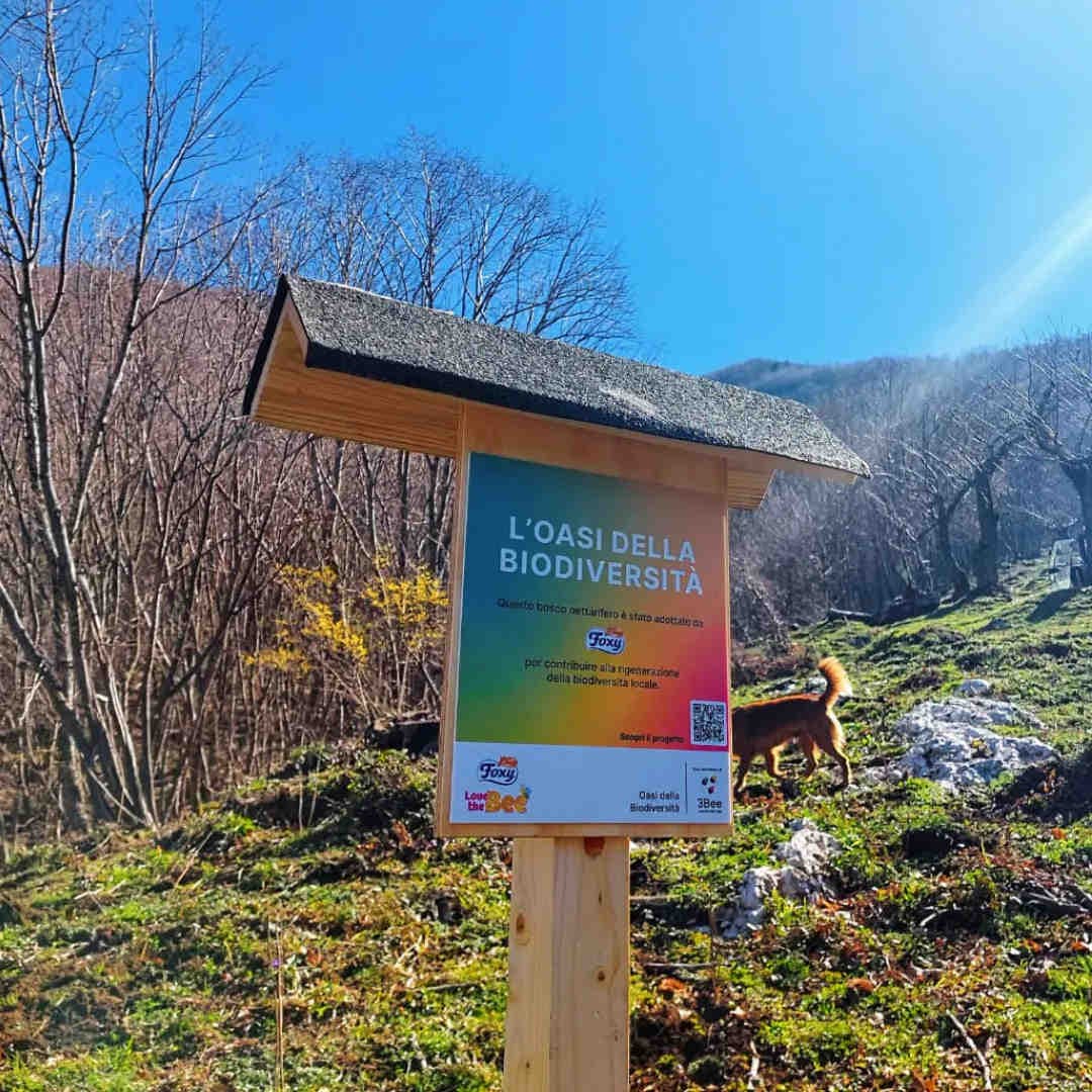 Biodiversity Oasis: Innovation for nature