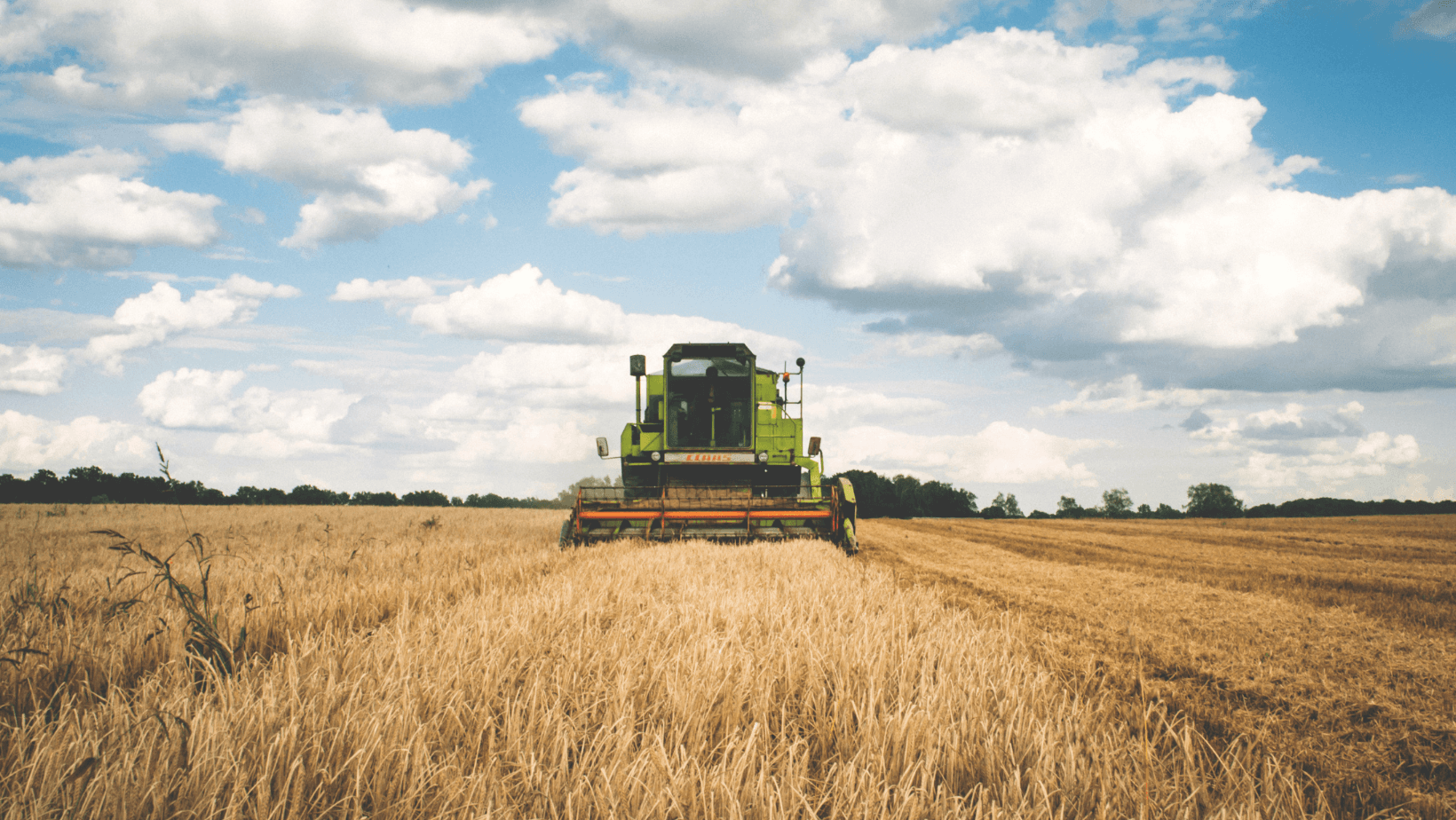 EIMA 2021: 3Bee und Umwelt-Biomonitoring