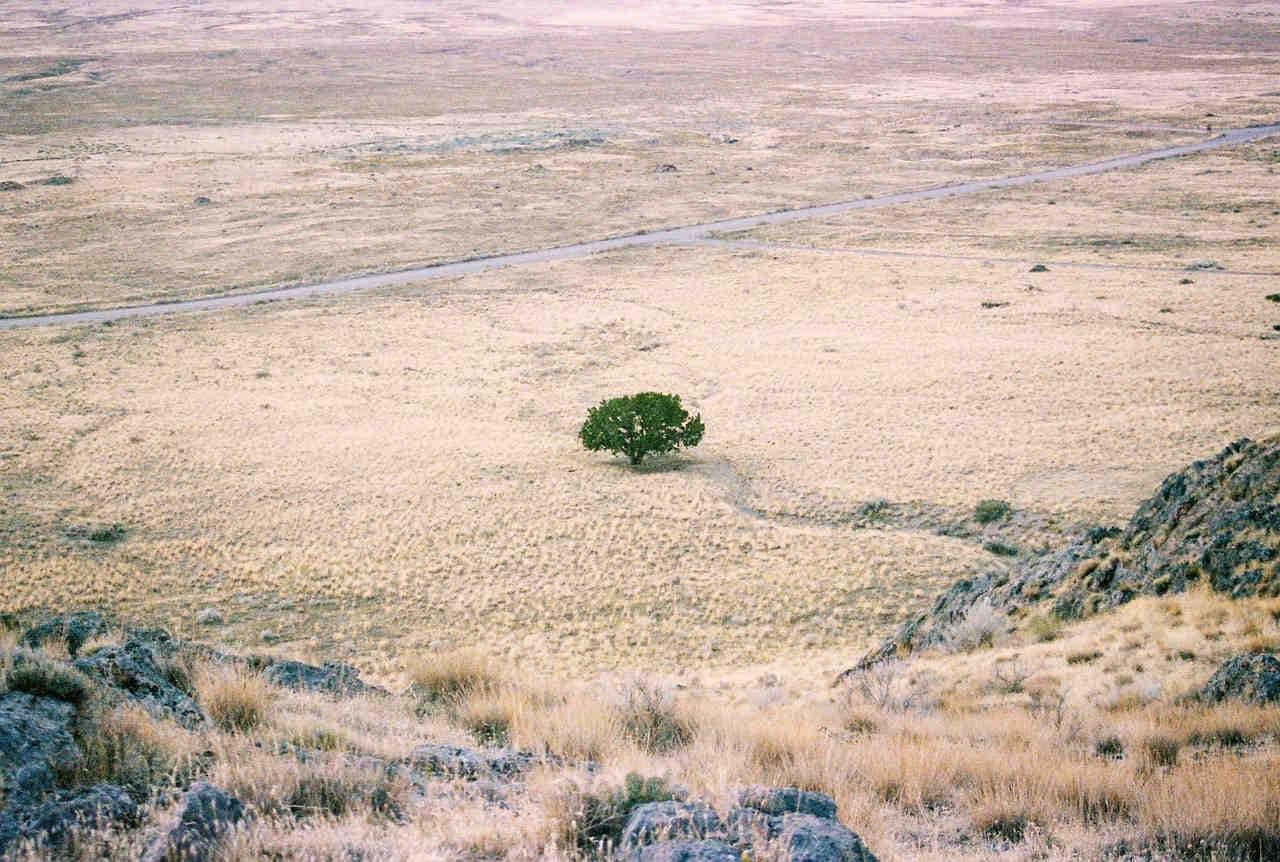 Desertificación y sequía - Día Mundial 2023