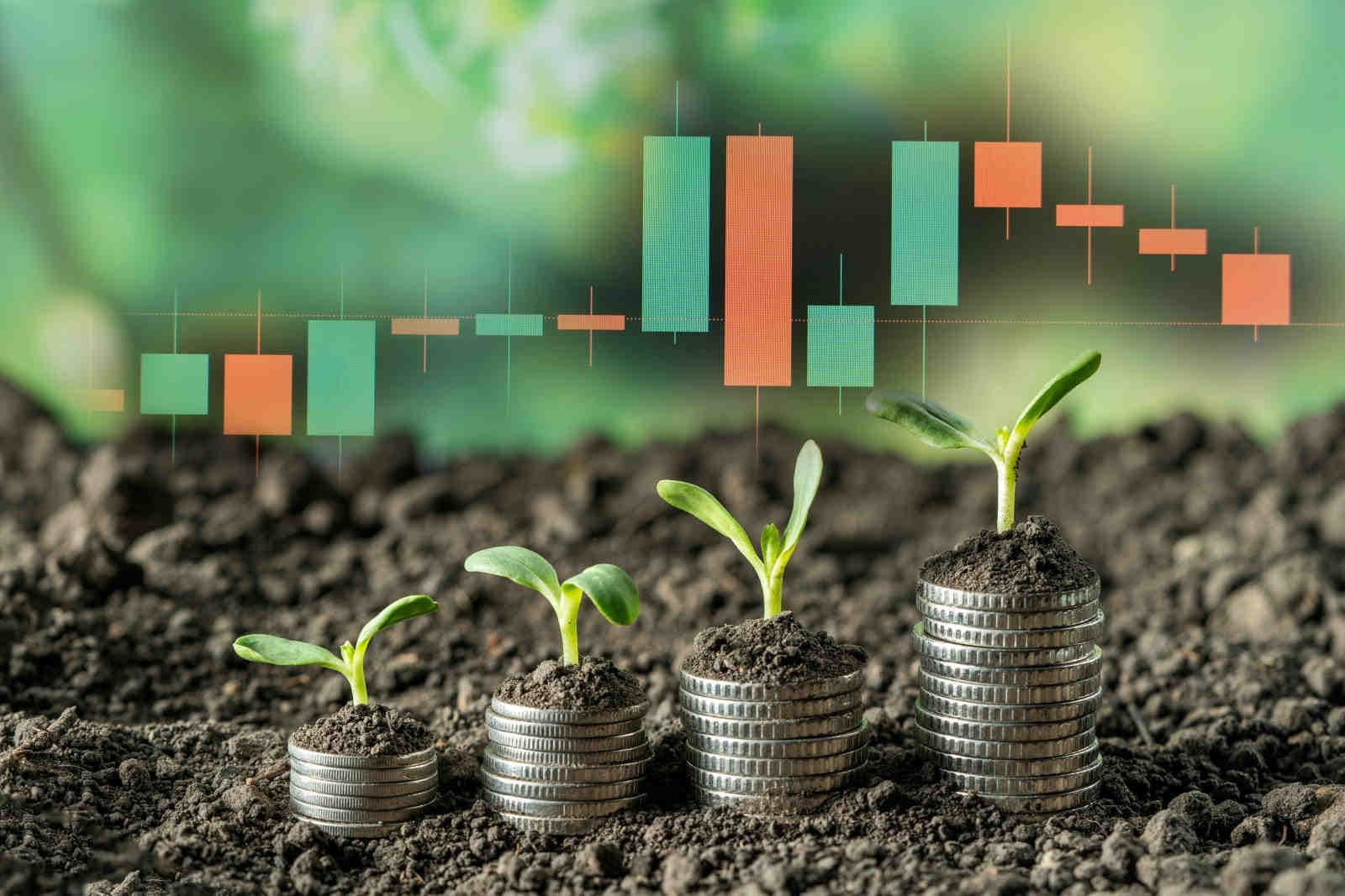 Mercato regolamentato e volontario dei crediti di carbonio