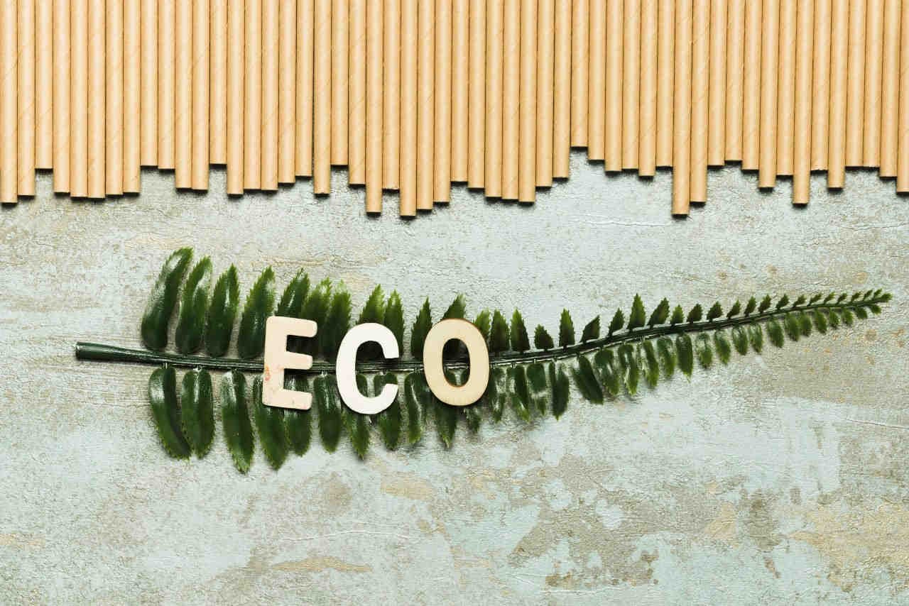I criteri per valutare lo score ambientale delle PMI