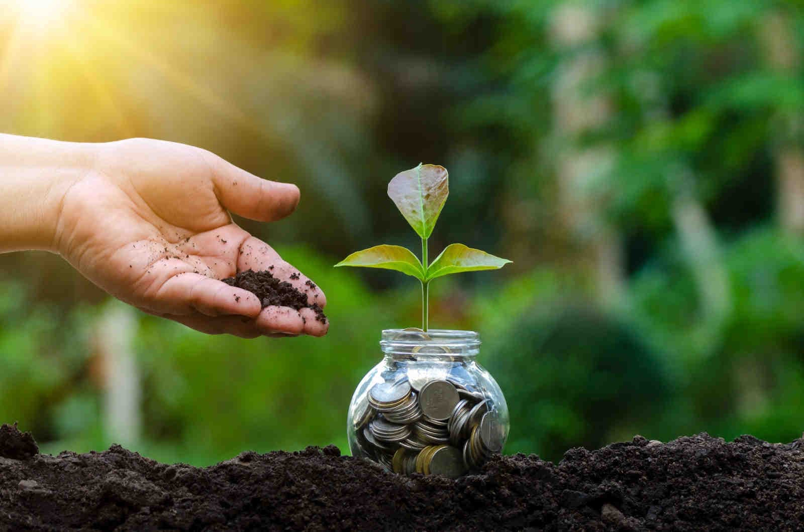 Cosa sono i crediti di carbonio e come vengono generati