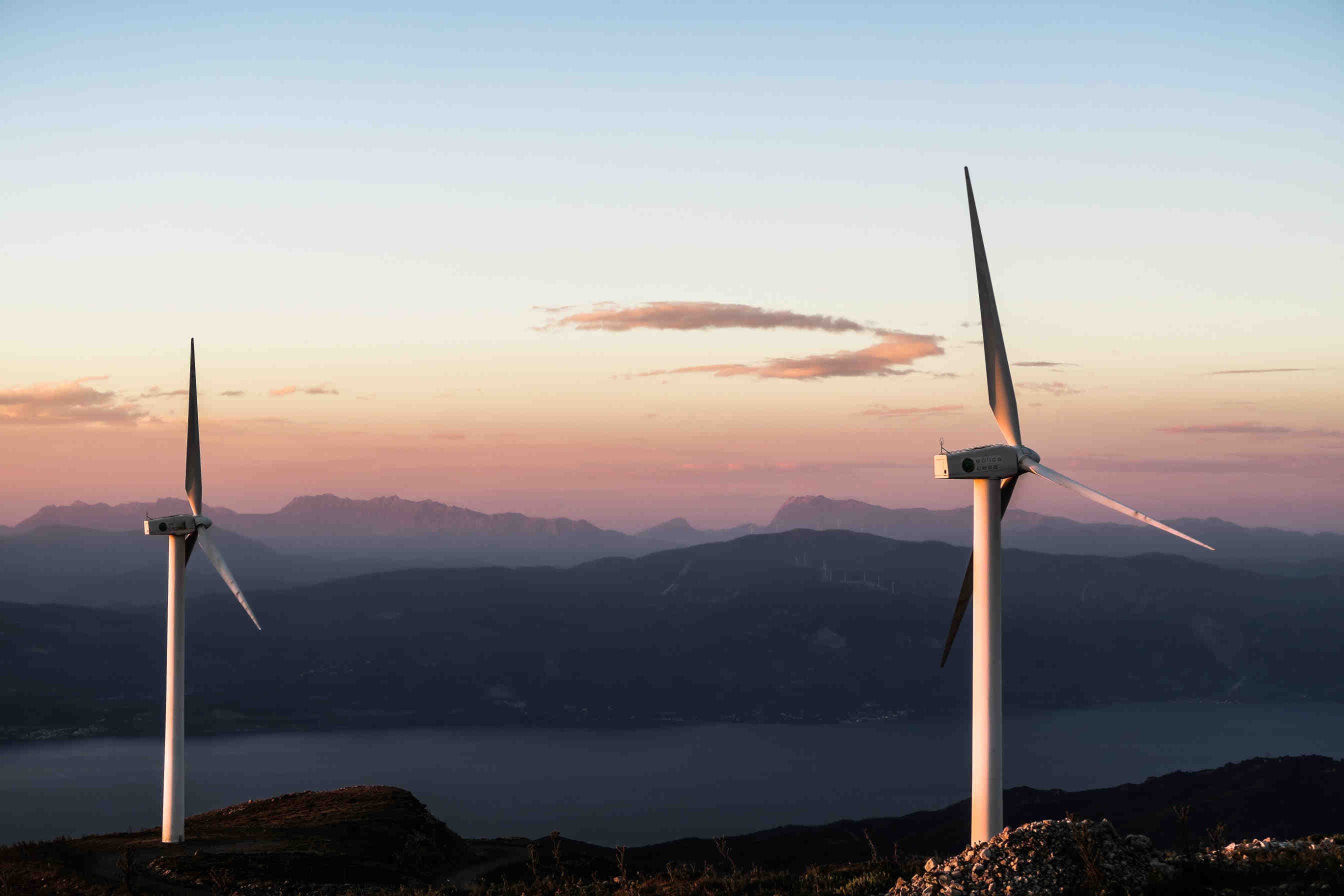 Simbiosi tra energia pulita e biodiversità con BEENERGY