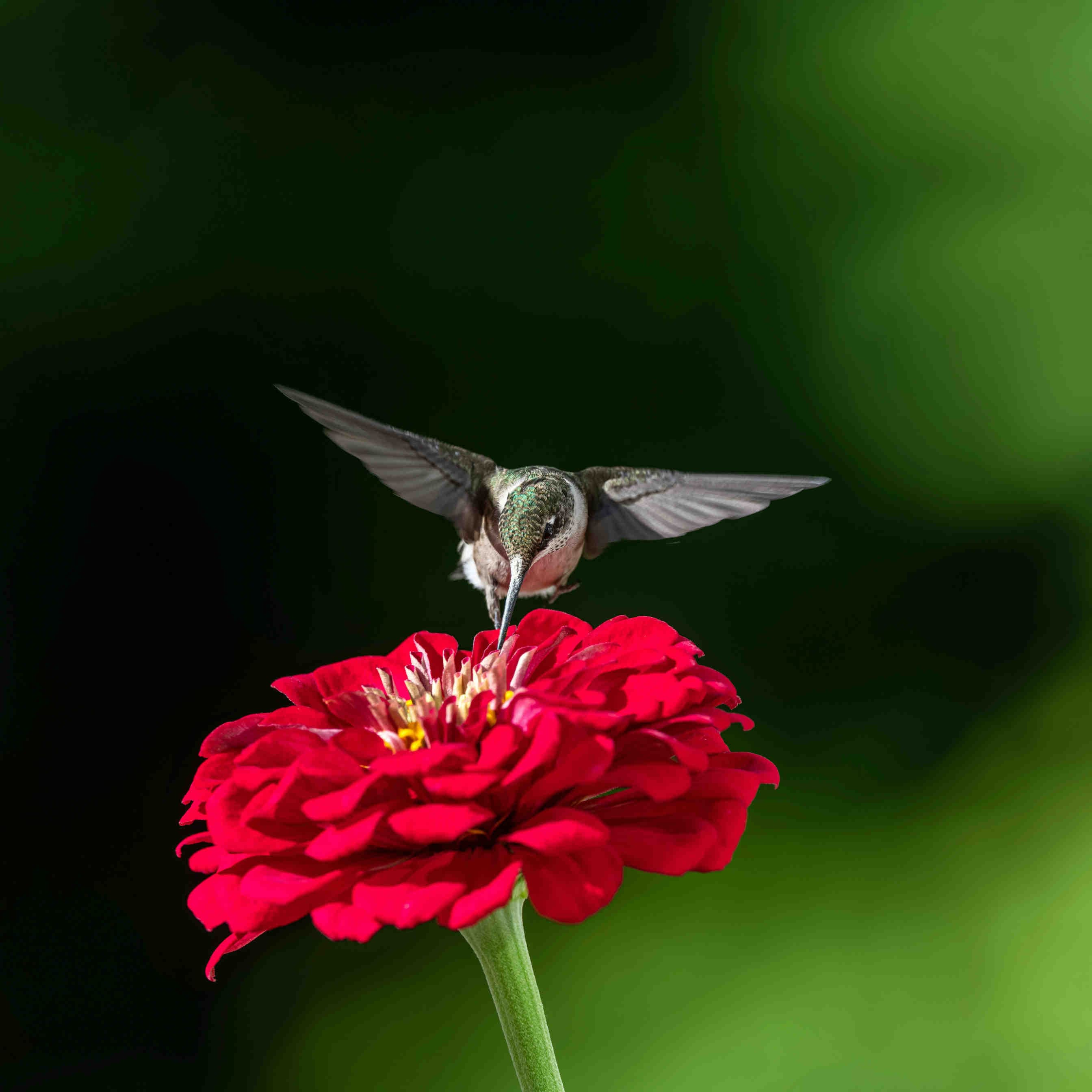 3bee-blog-cosa-sono-i-crediti-di-biodiversita