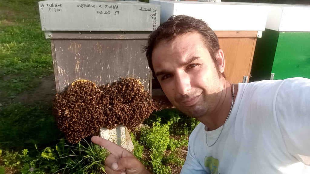 Découvrez la <clr>journée type</clr> d'un apiculteur