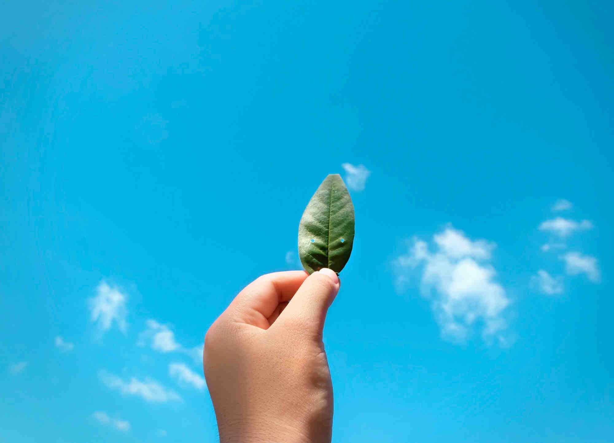 legge made green in italy