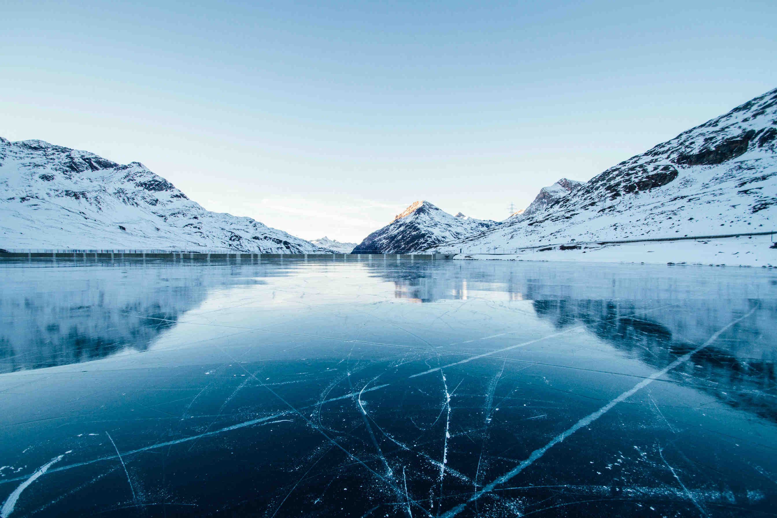 Evolvere strategie per sopravvivere al freddo