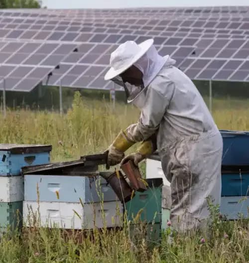 Le projet : qu'est-ce que BeEnergy ?