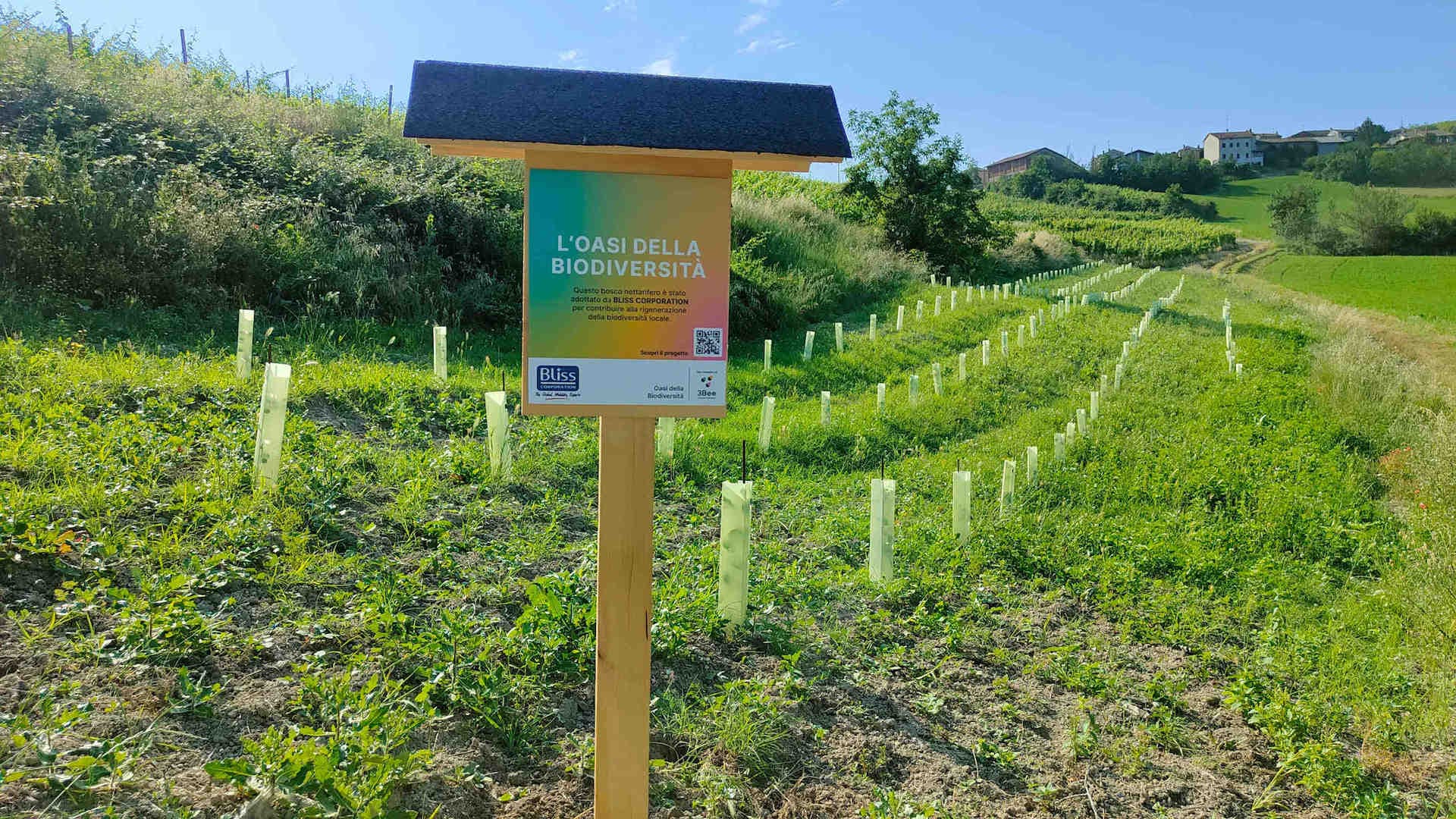 3Bee : la technologie au service de la biodiversité