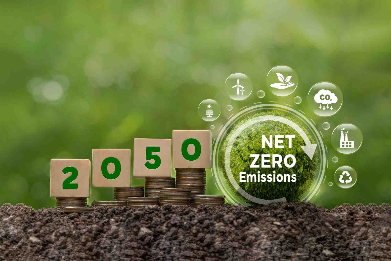 Strategia net-zero: fasi e strumenti operativi