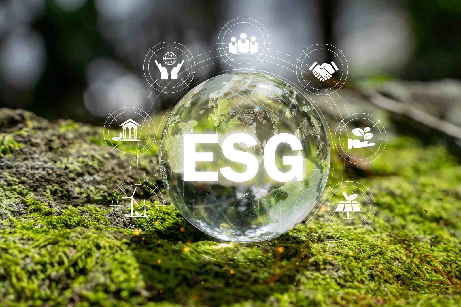 Il ruolo delle aziende nella protezione della biodiversità