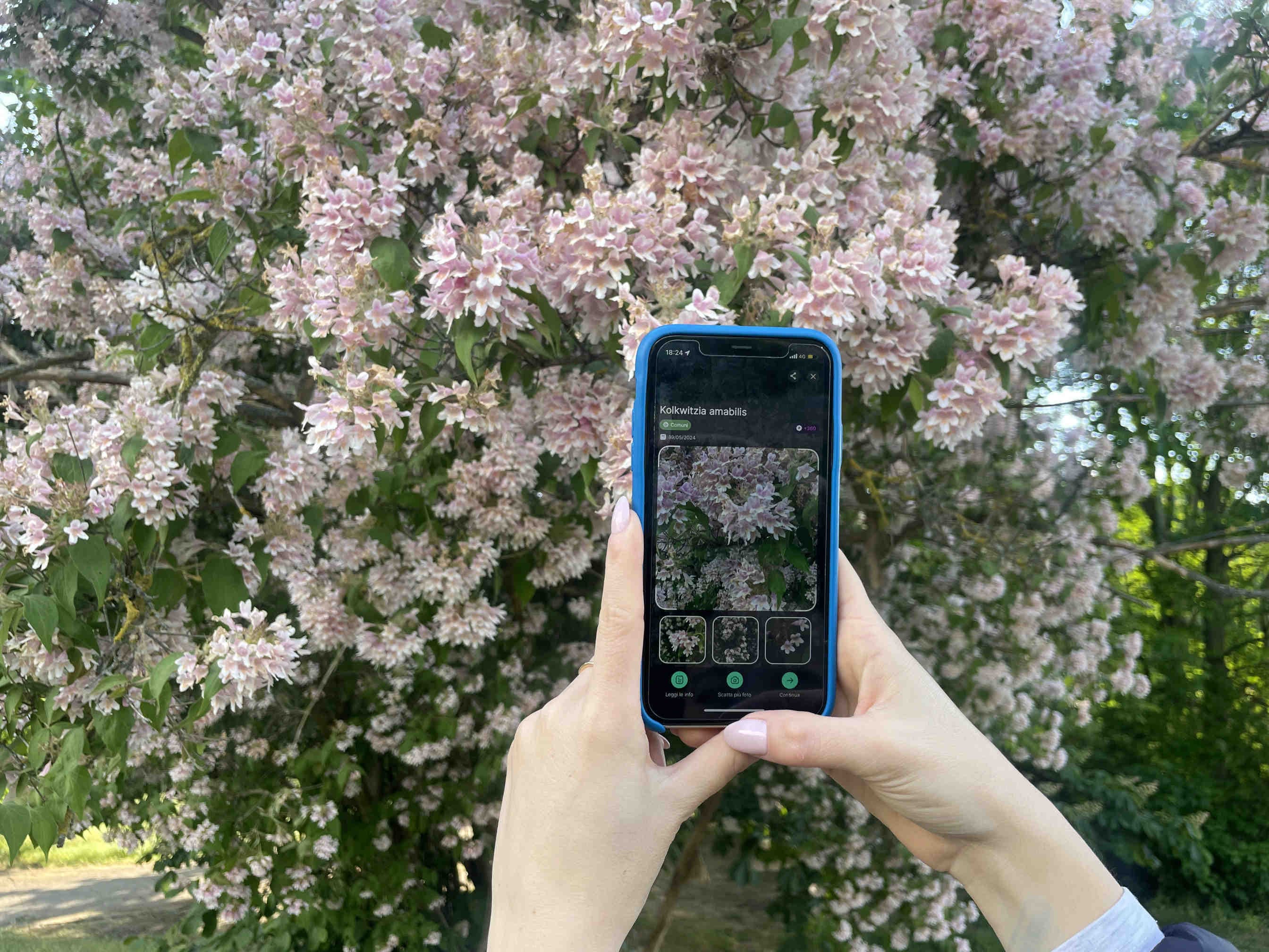 3bee-blog-con Biodiversa-anche-olmo-diventa-un-punto-dati