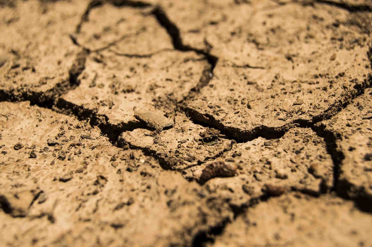 Grecia: emergenza siccità, scompare il lago Pikrolimni