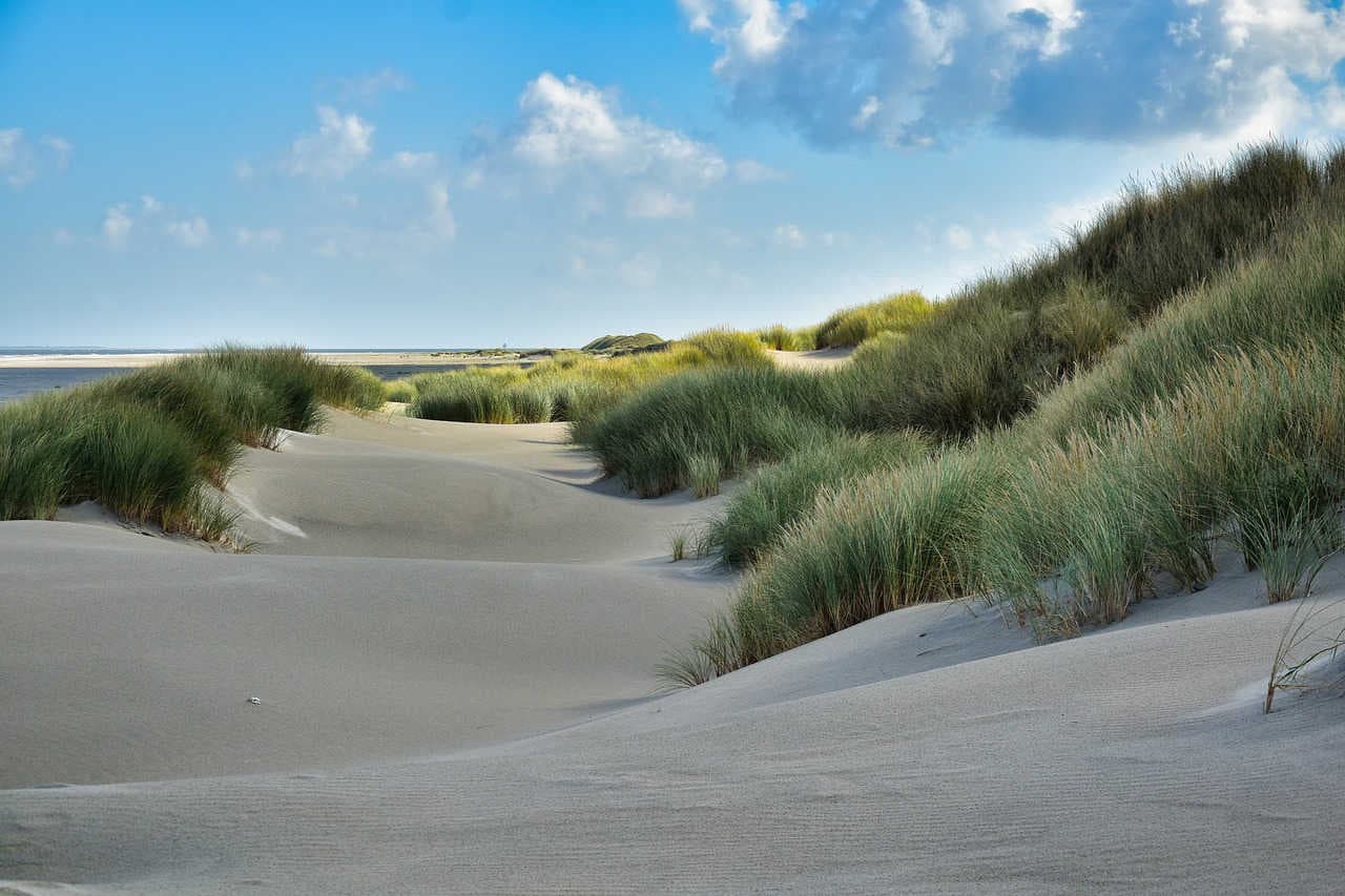 dune