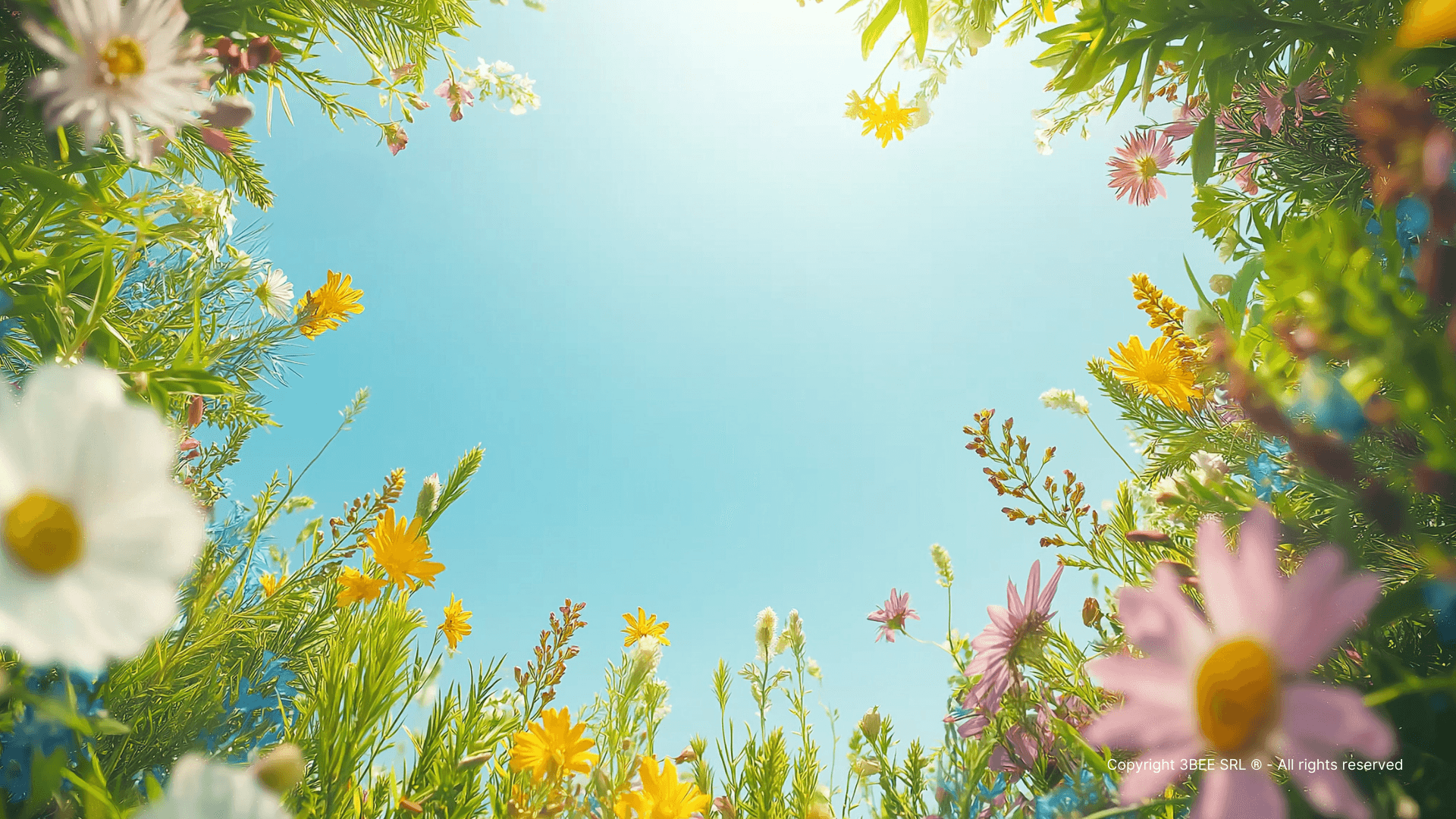 3Bee lancia gli XNatura Regeneration Awards