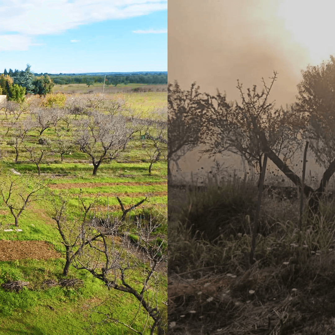 incendio Oasi Palombaio
