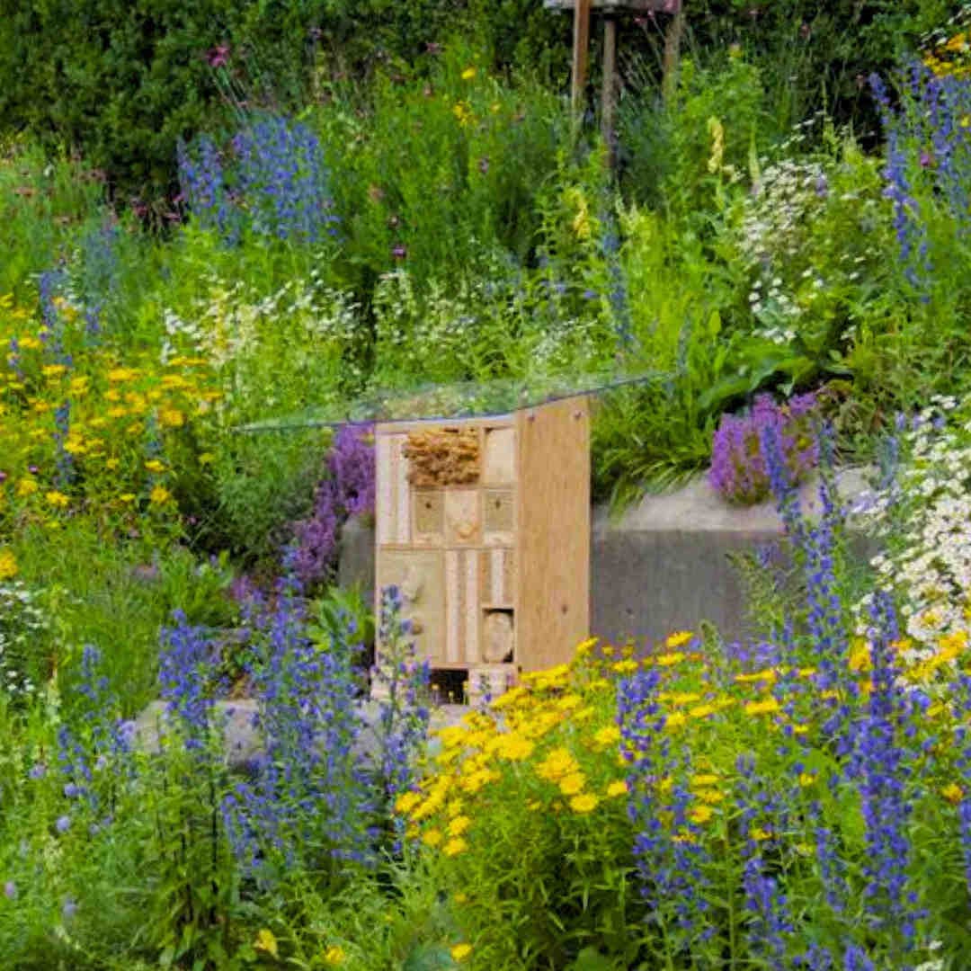 Abenteuer Biodiversität