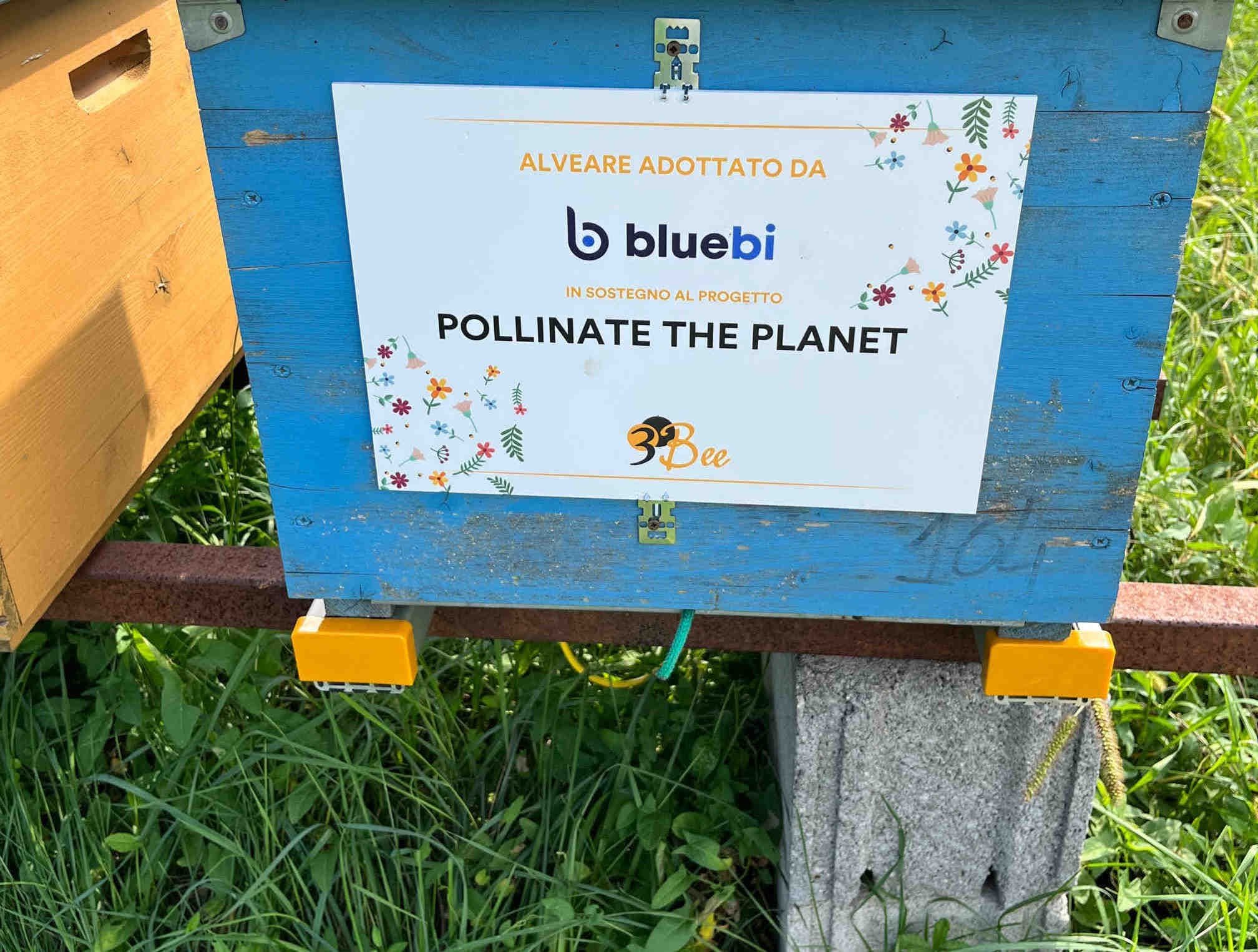 Arnia 3Bee Blue BI