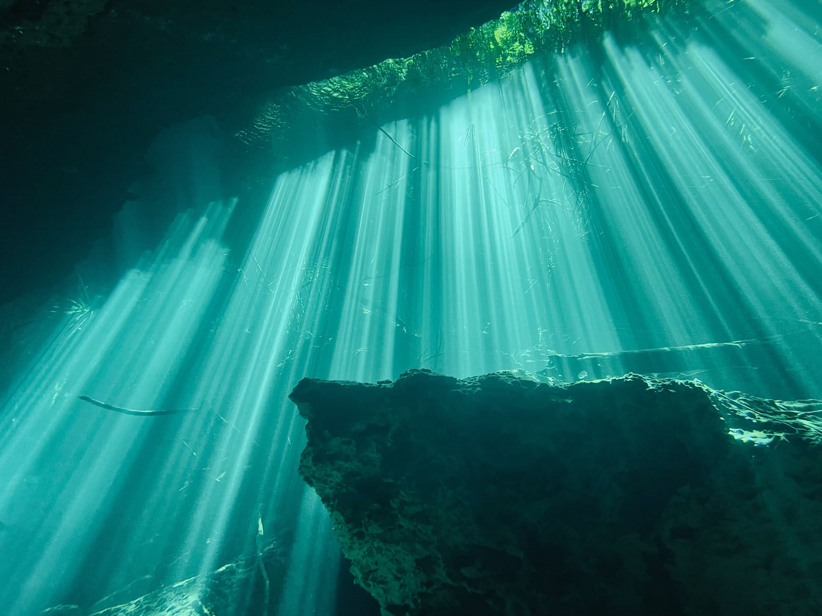 Five hours of descent to reach the seabed
