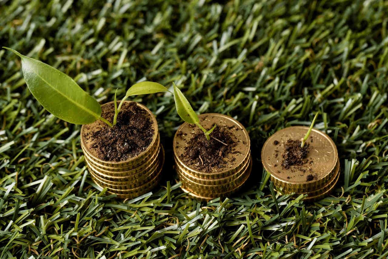Green Bond: previsioni e trend per il 2025