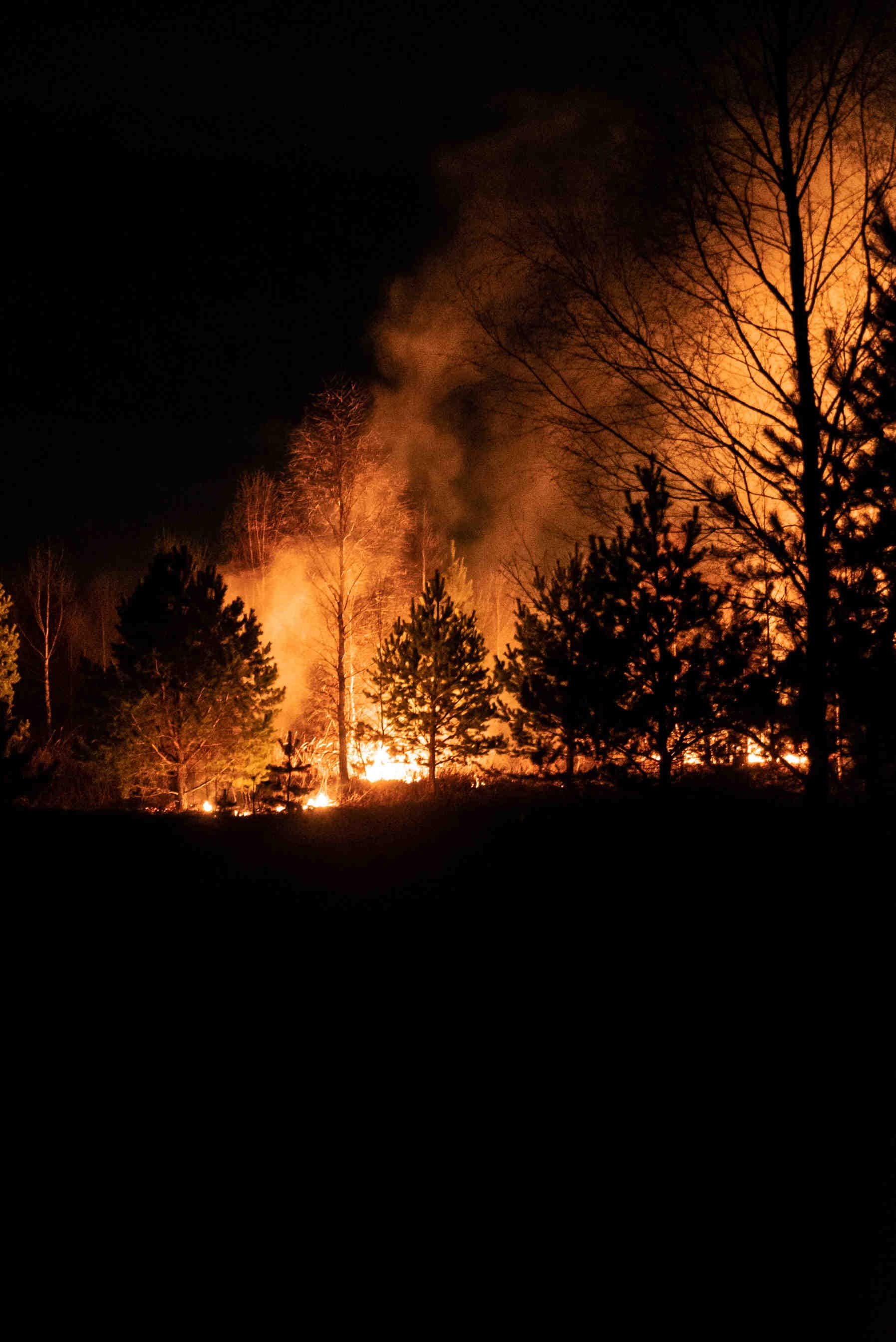 triste realtà incendi