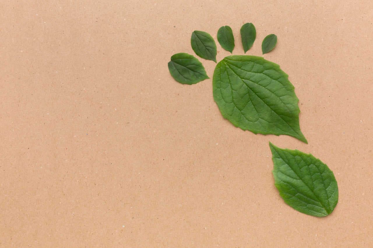 Metodologia LCA o Impronta ambientale