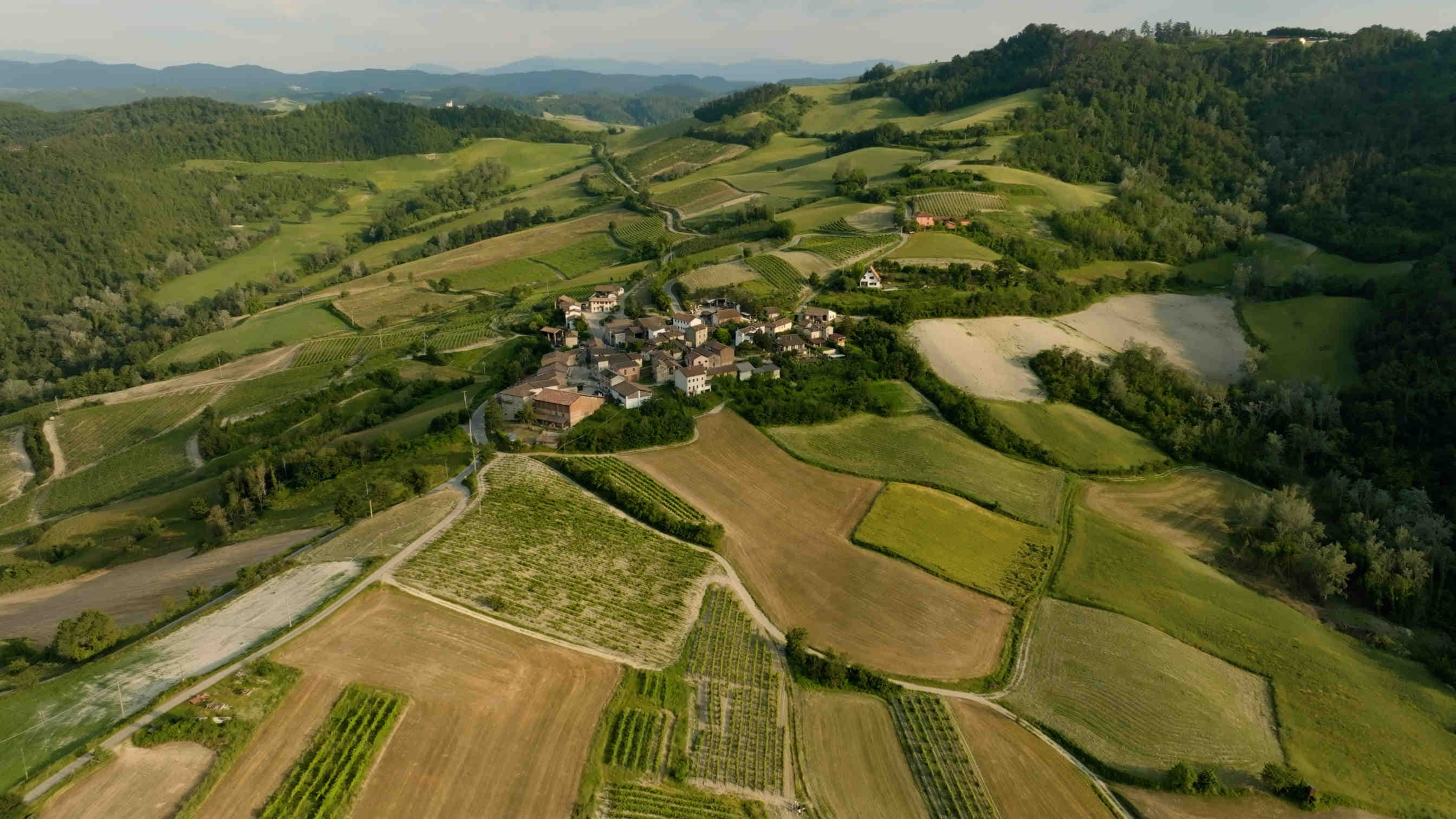 Oasi della Biodiversità 3Bee