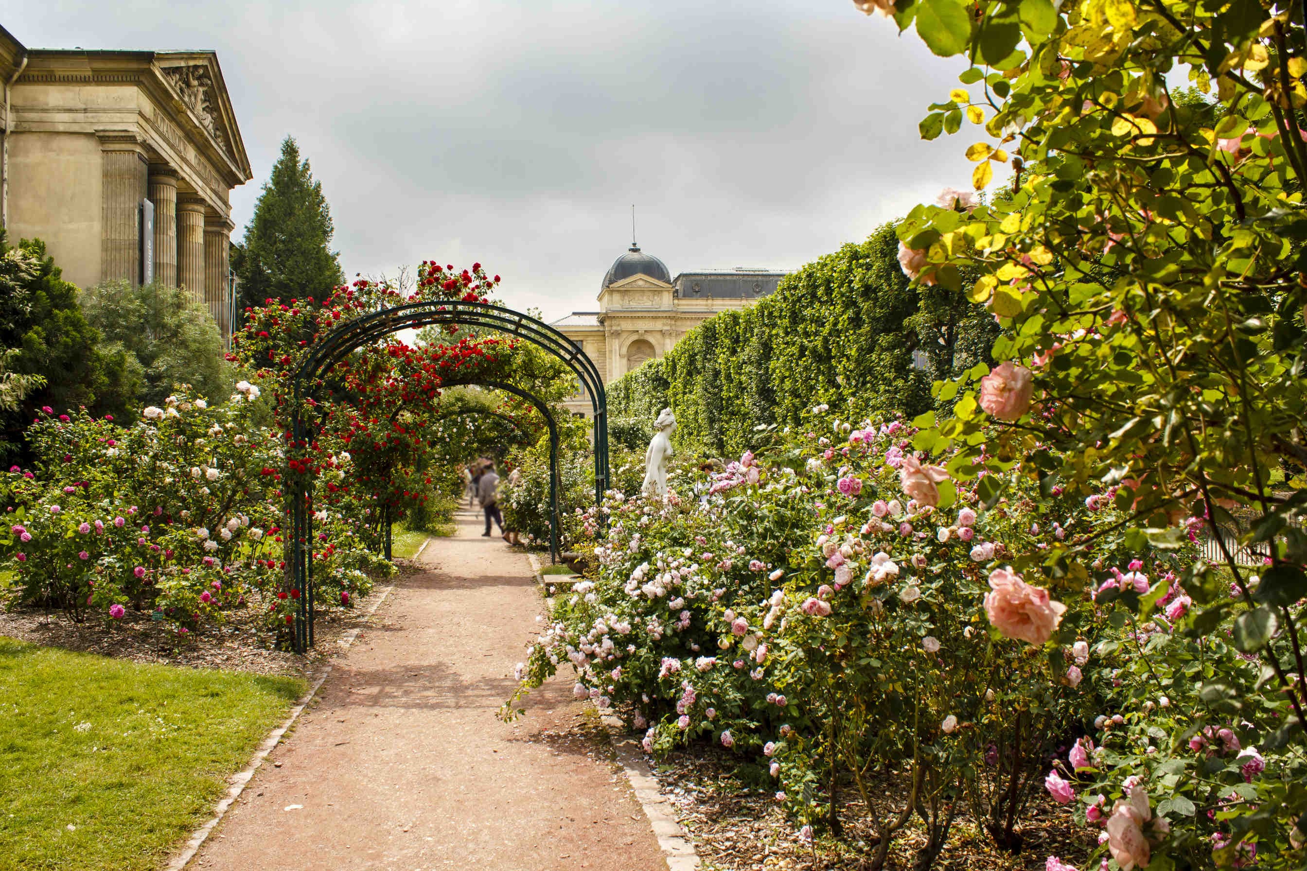 Plan de biodiversité de la ville de Paris