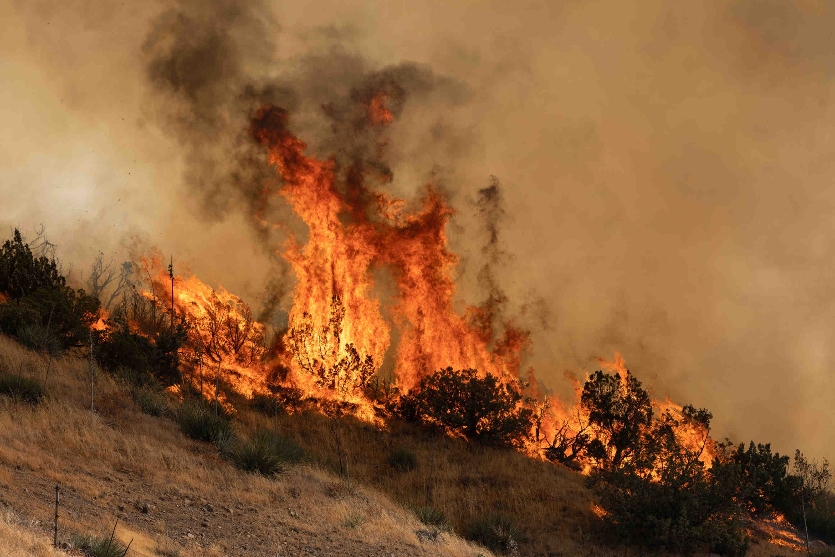 fire