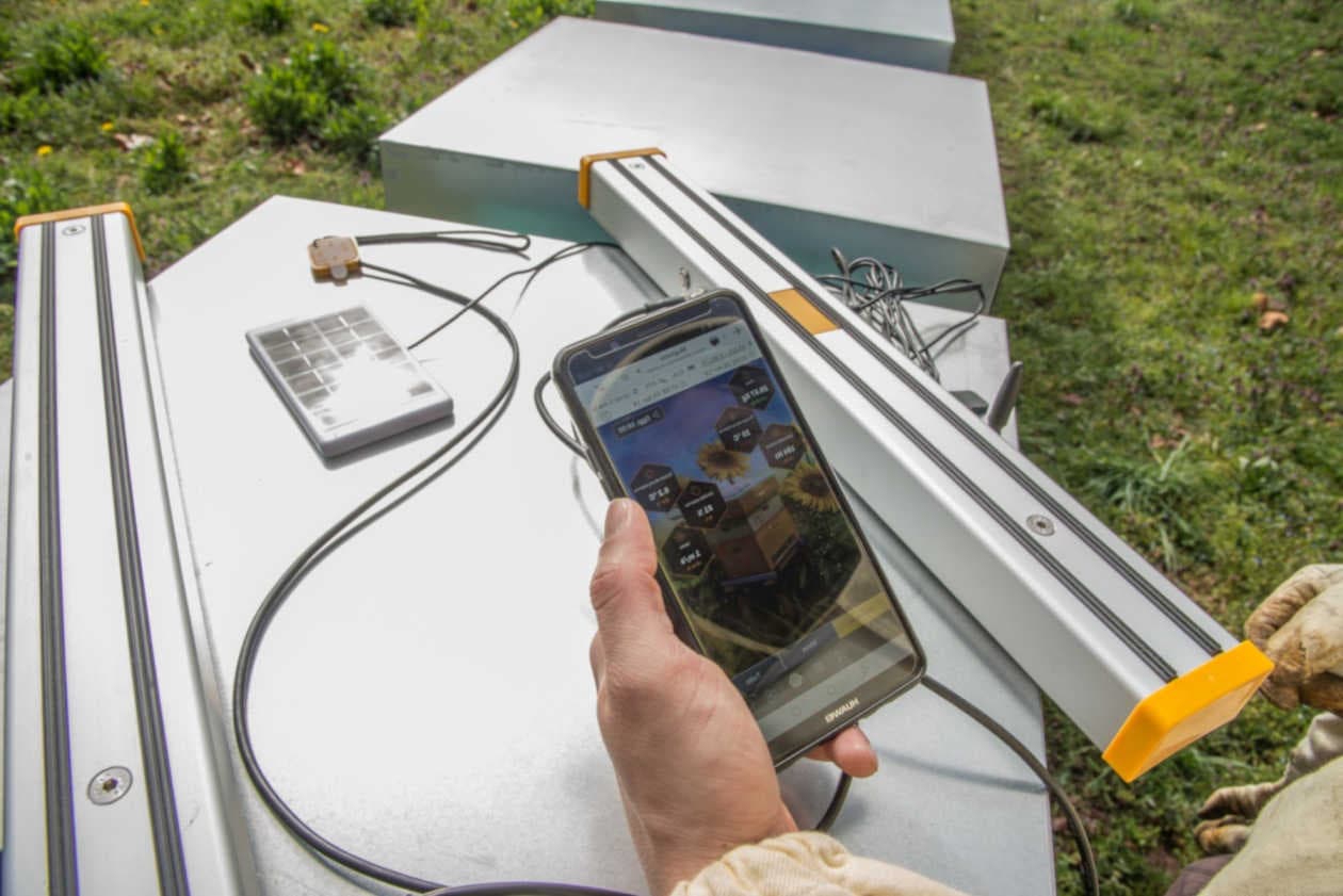 Die Hilfe der Technologie zum Schutz der Bienen