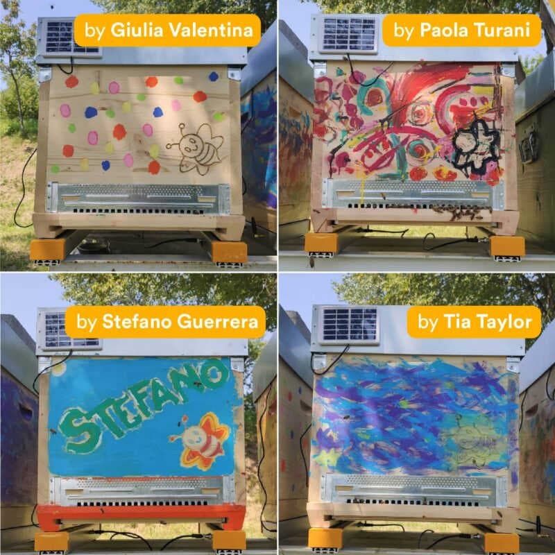 4 Alveari dedicati da adottare