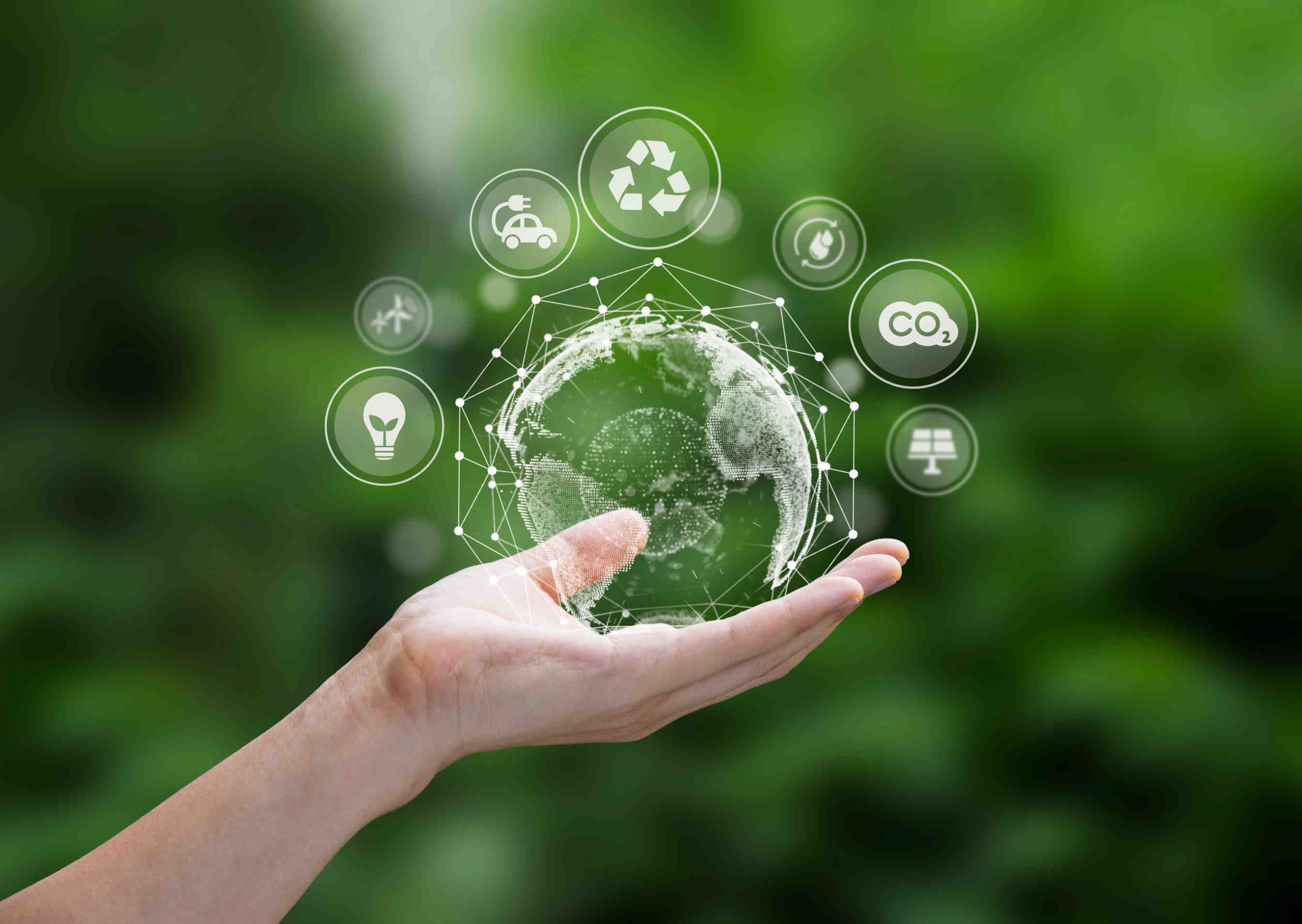 sustainability