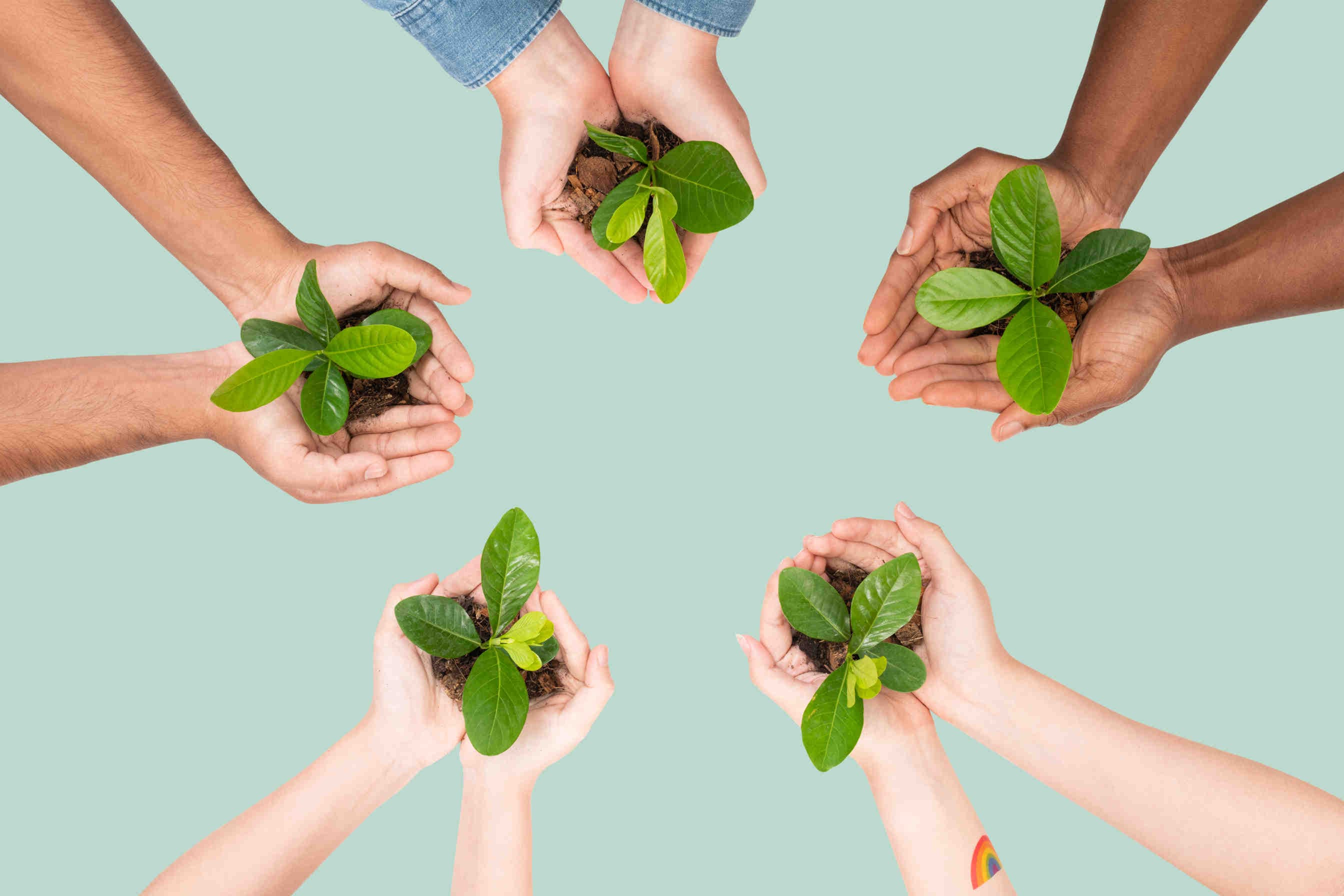 stakeholder