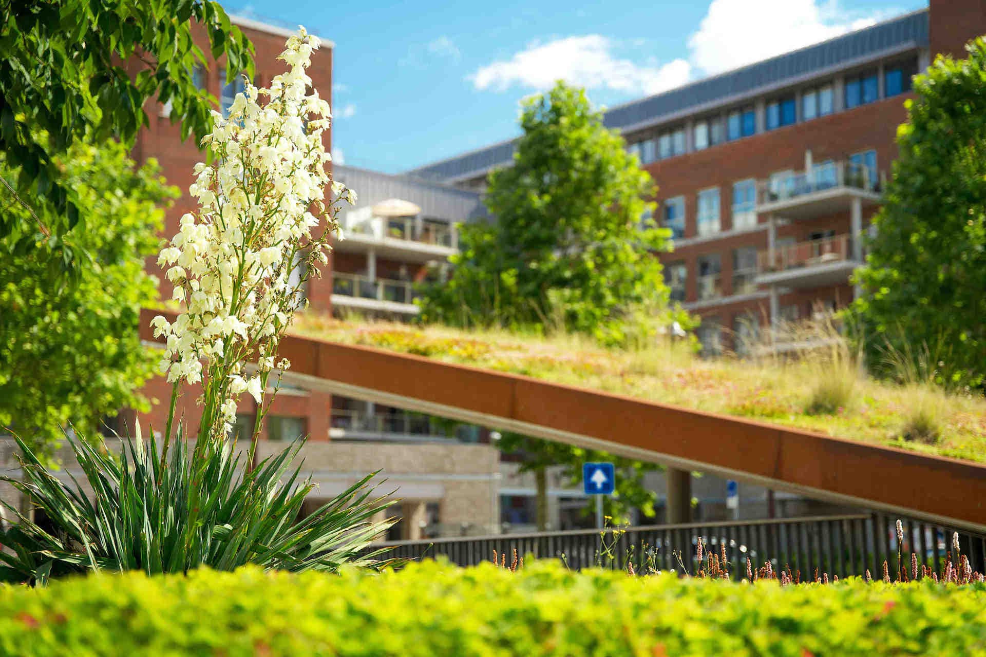 Urbane Biodiversitätsprojekte in Europa