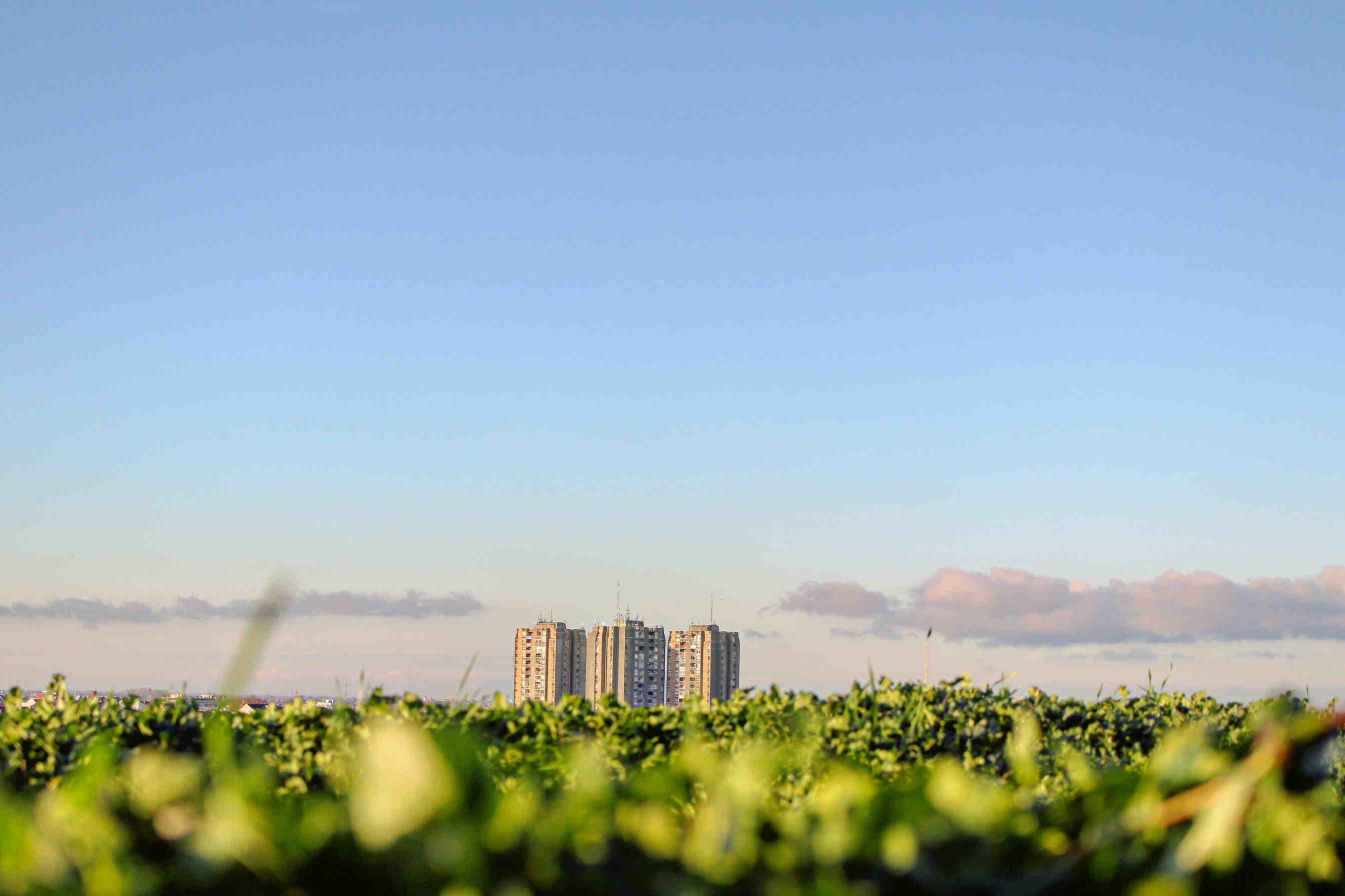 Breaking Down ESG Ratings: The UK's Regulatory Landscape