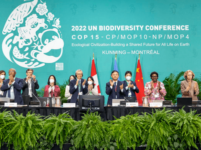 Cop15