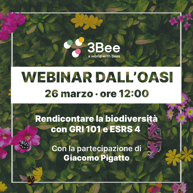 Webinar 3Bee