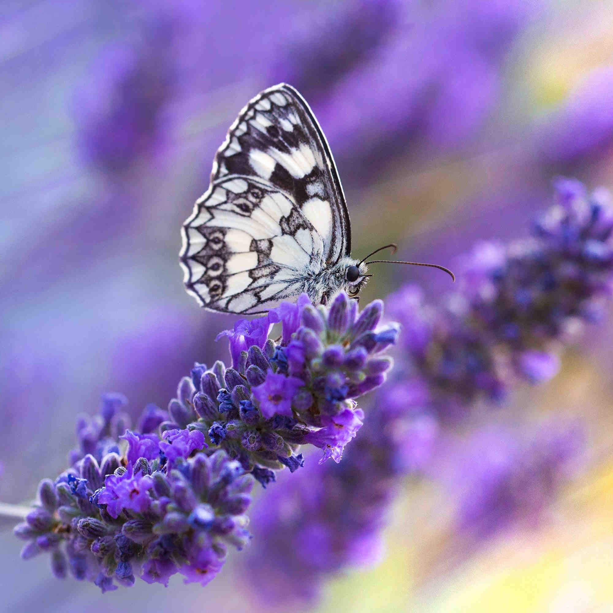 Tutela della biodiversità: trasparenza e divulgazione