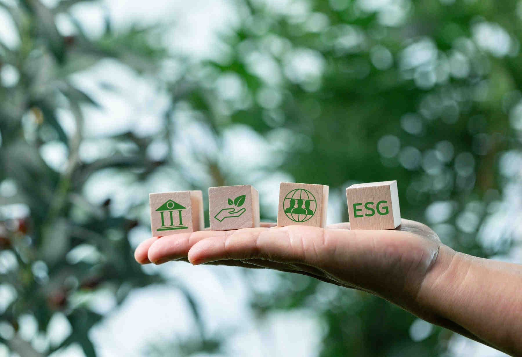 I principali framework ESG: TCFD, GRI e SASB