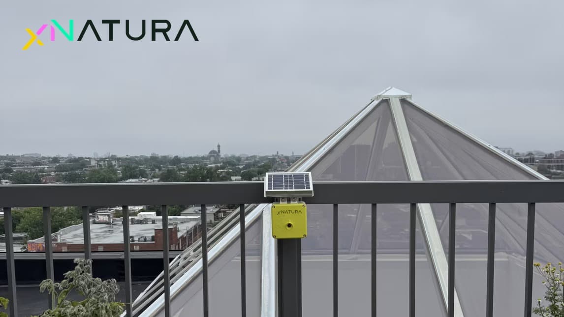 Alvéole e XNatura®: il 2026 in retrospettiva