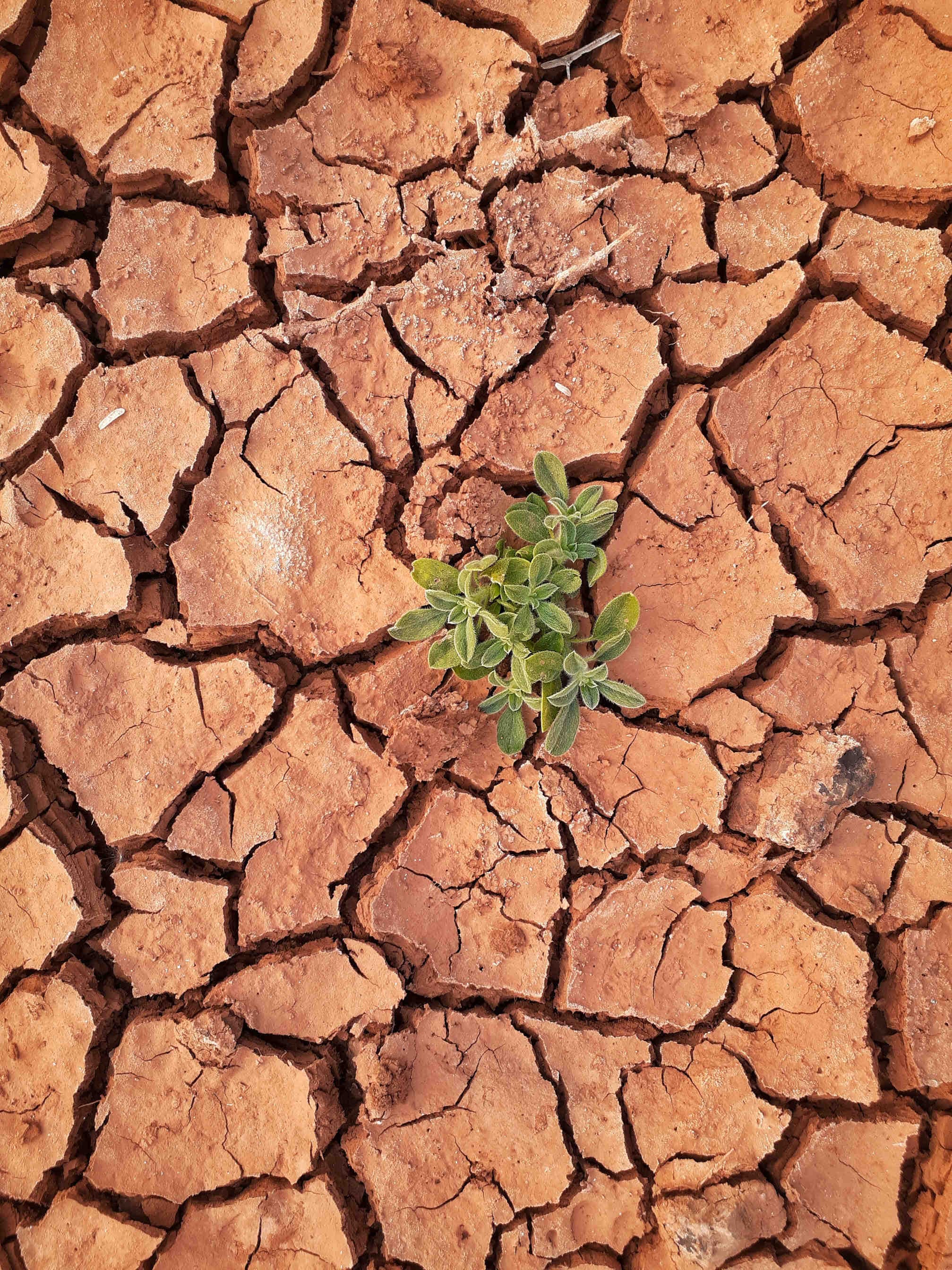 Hot topic: global warming