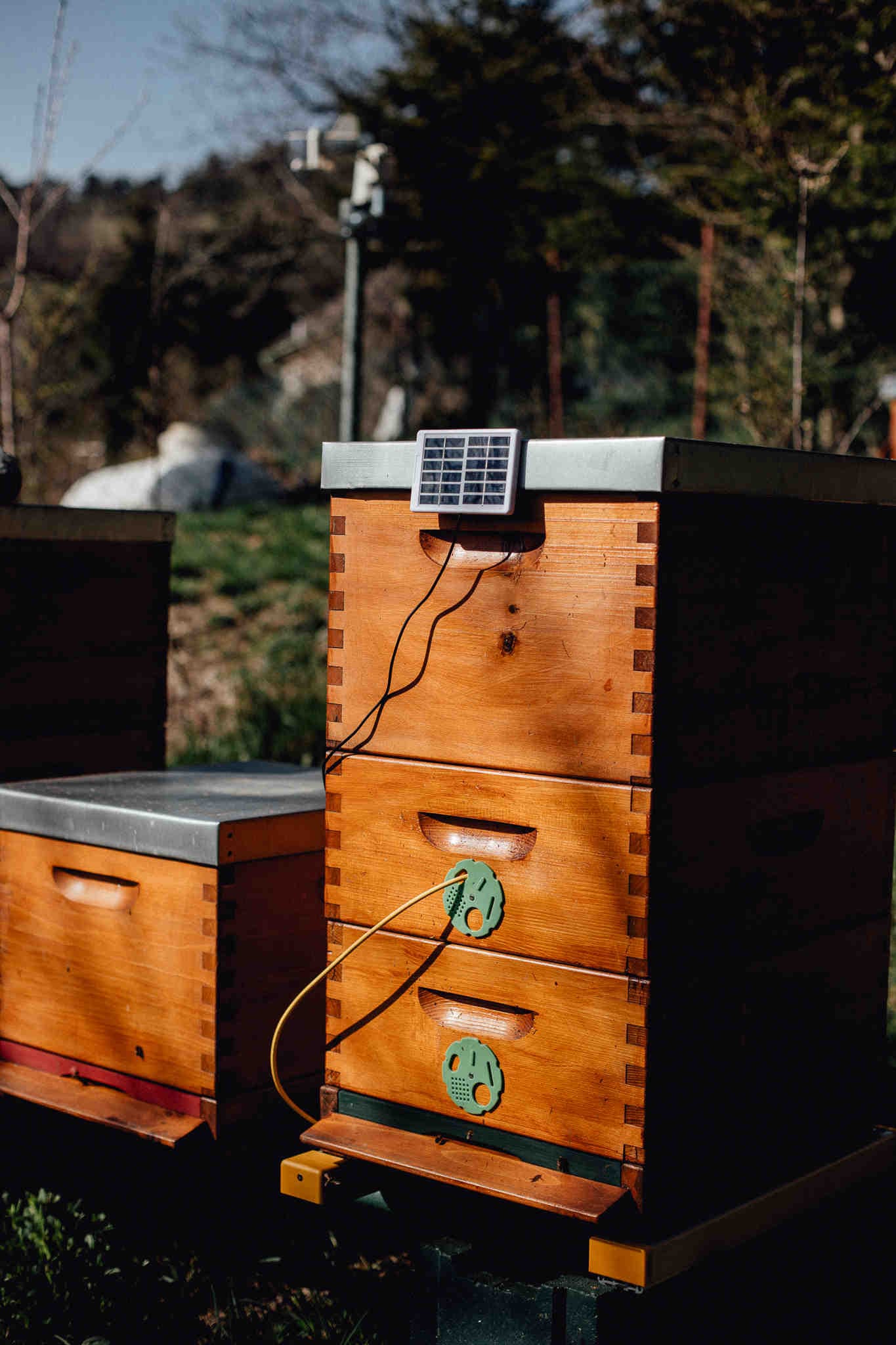 TECNOLOGIA AL SERVIZIO DELLA BIODIVERSITÀ
