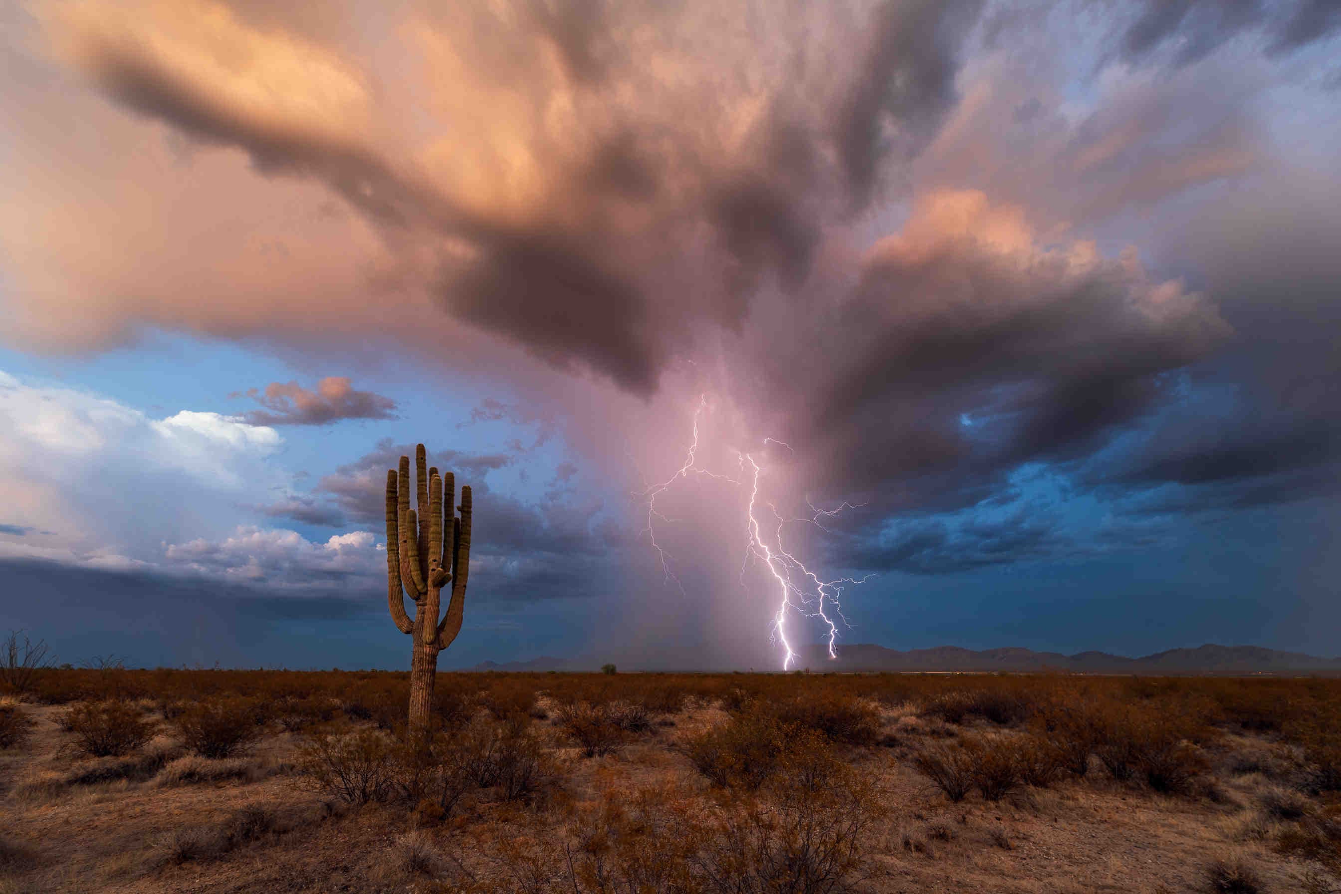 Wild U.S. weather: from heatwaves to snowstorms and more