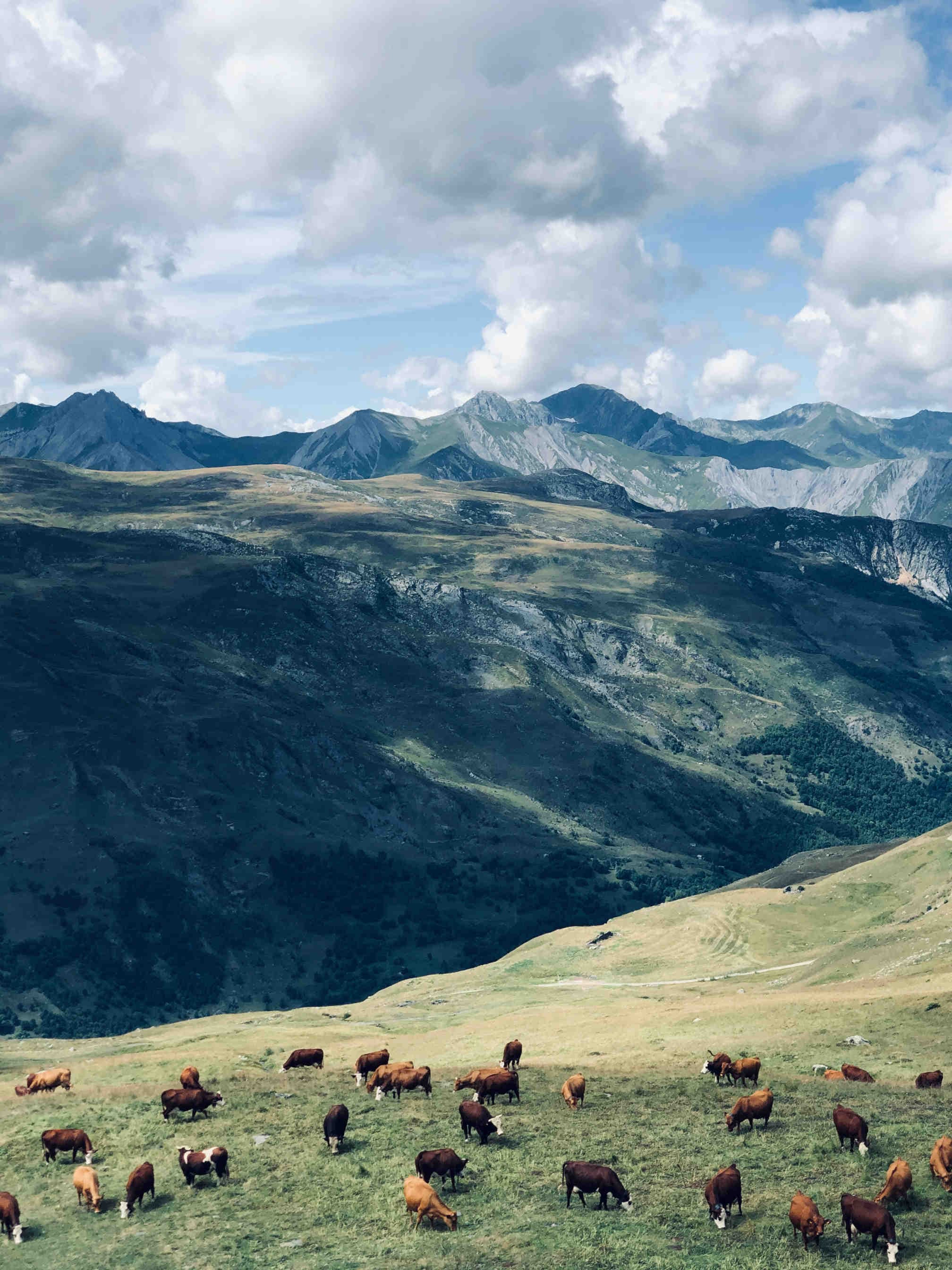 Parchi nazionali in Francia